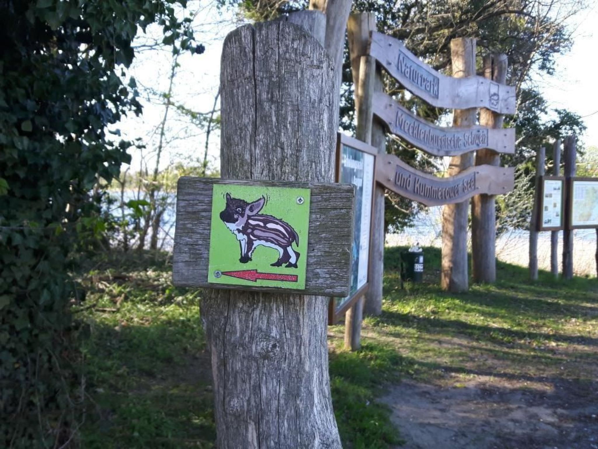 Paula am Klostersee Urlaub mit Hund-Image-tags.info