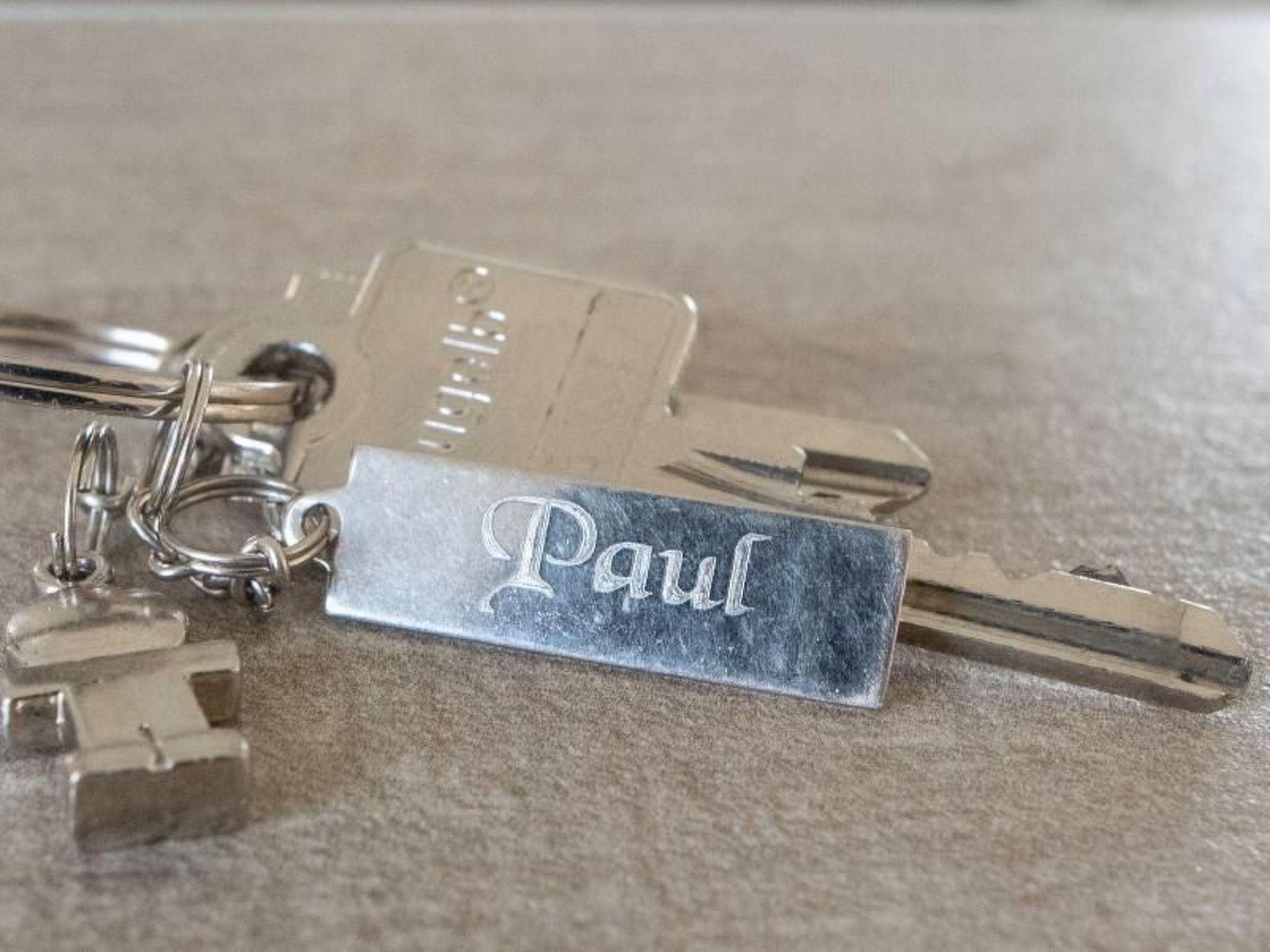 Paul am Klostersee Urlaub mit Hund