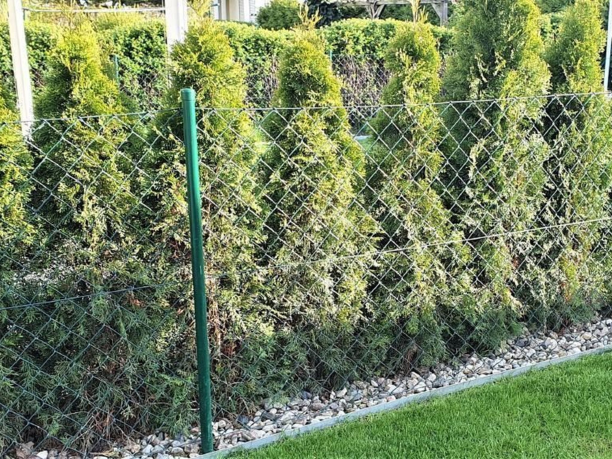 Paul am Klostersee Urlaub mit Hund-Image-tags.info