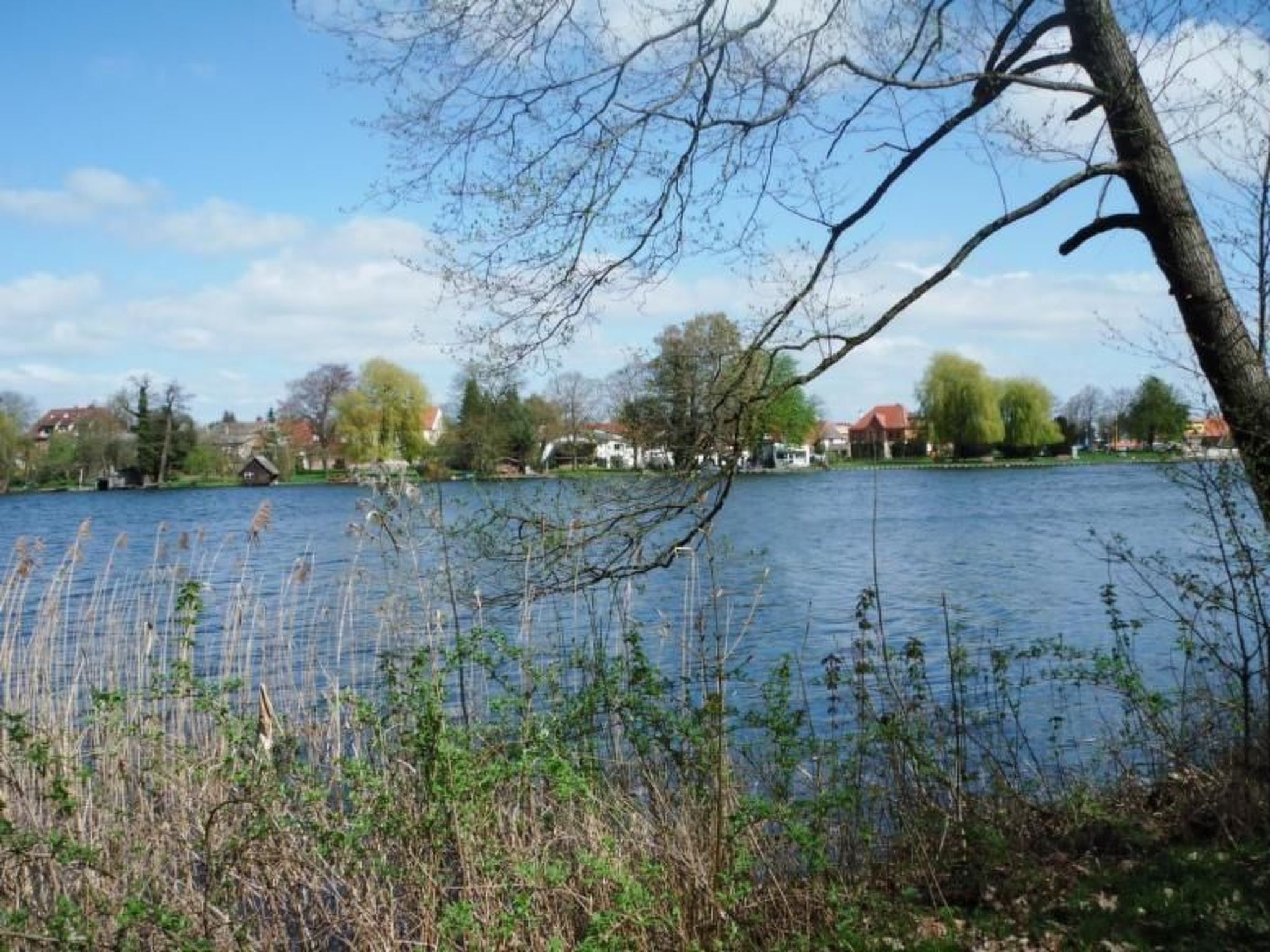 Paul am Klostersee Urlaub mit Hund-Image-tags.info