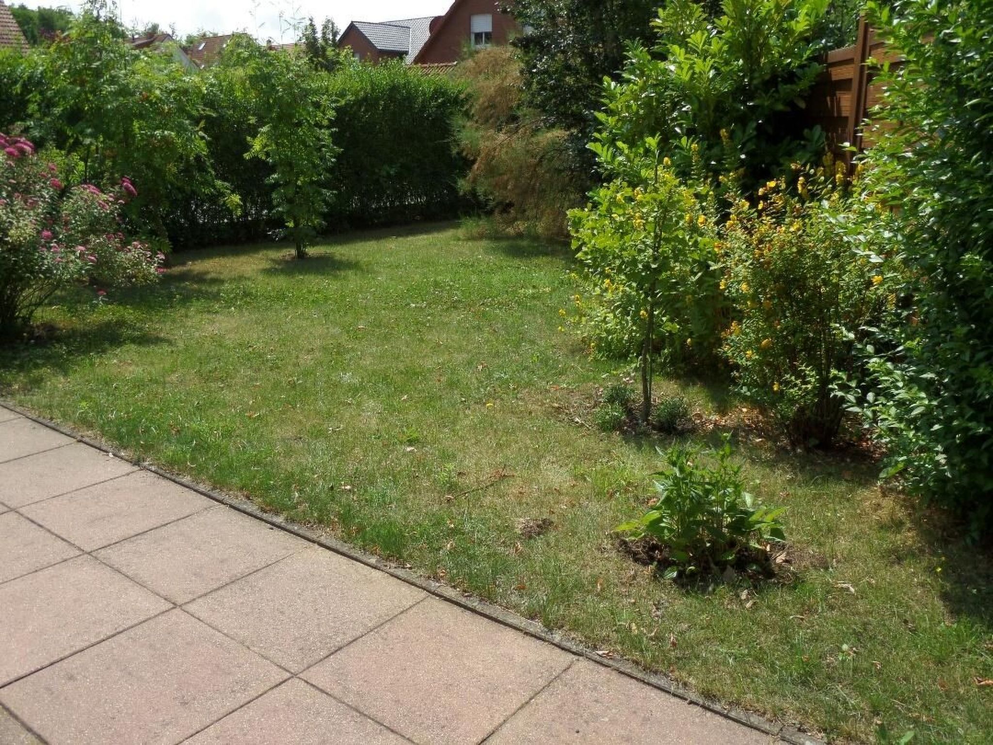 Schwalbennest-Binnen