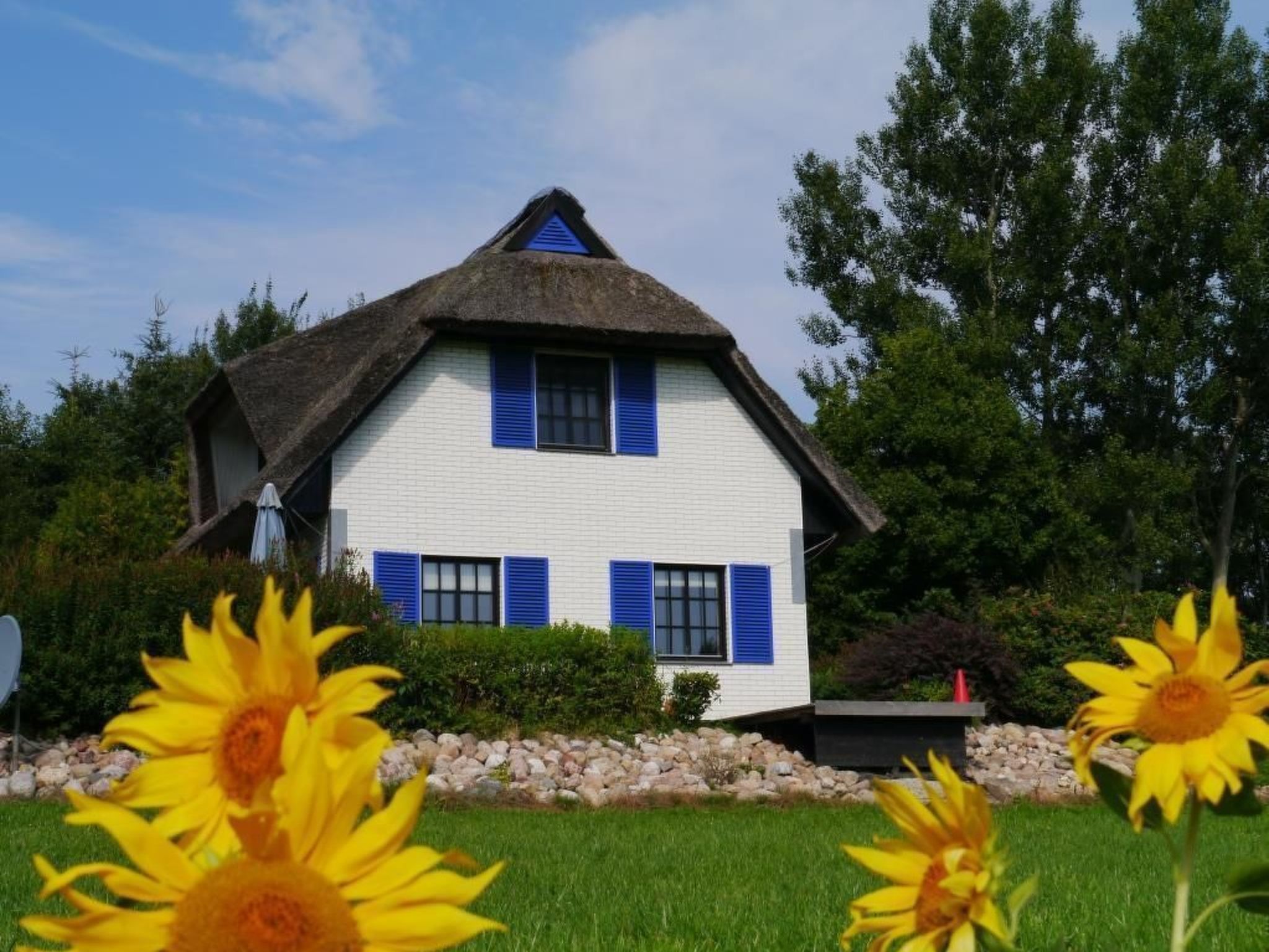 Haus-Zauberblau-Binnen