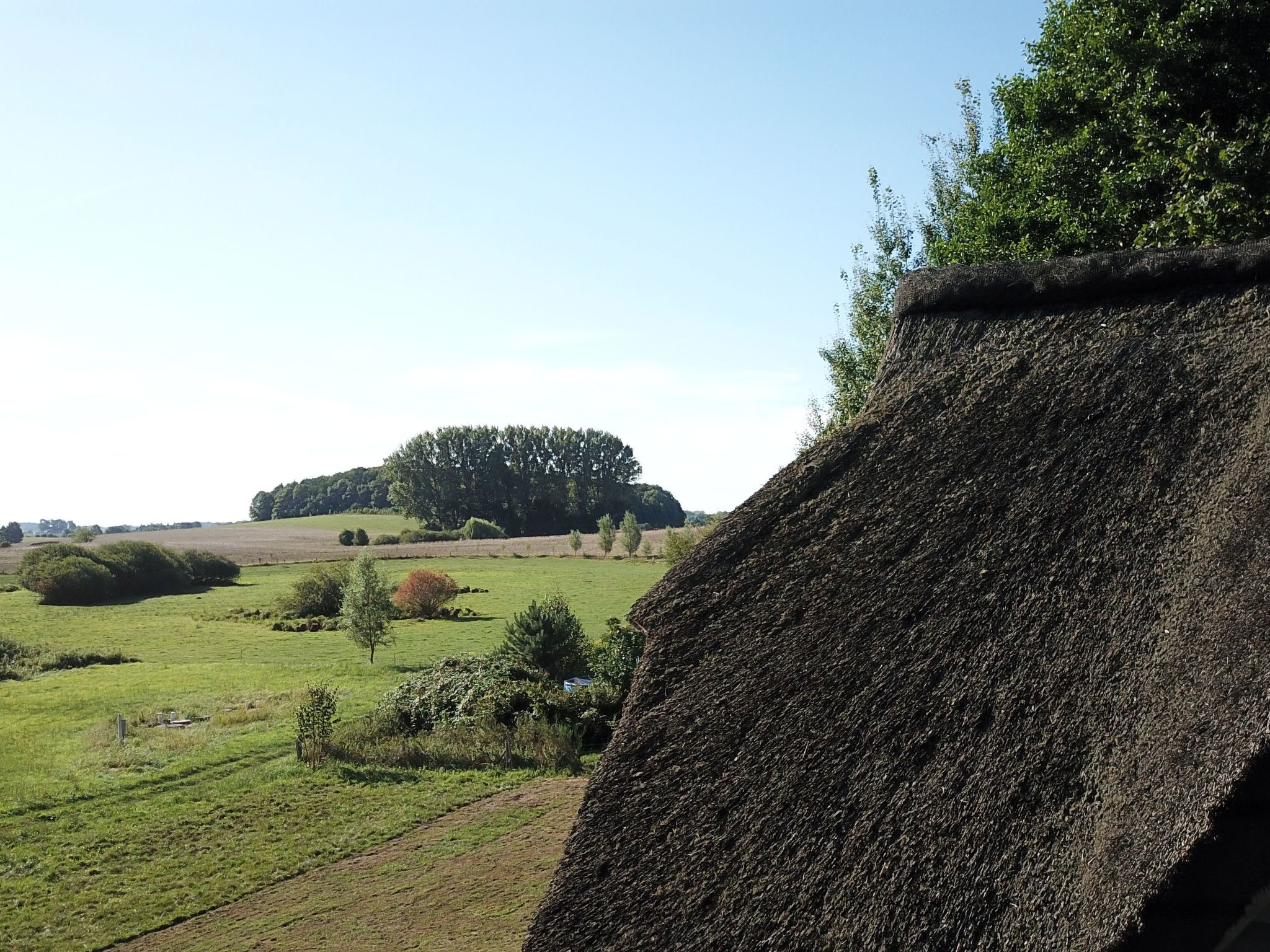 Haus-Zauberblau-Binnen