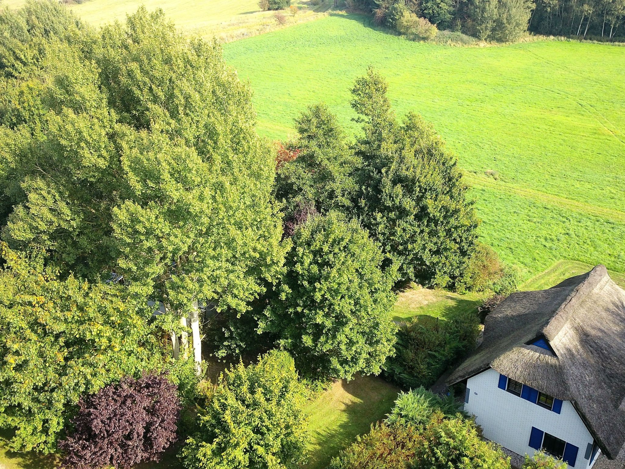 Haus-Zauberblau-Binnen