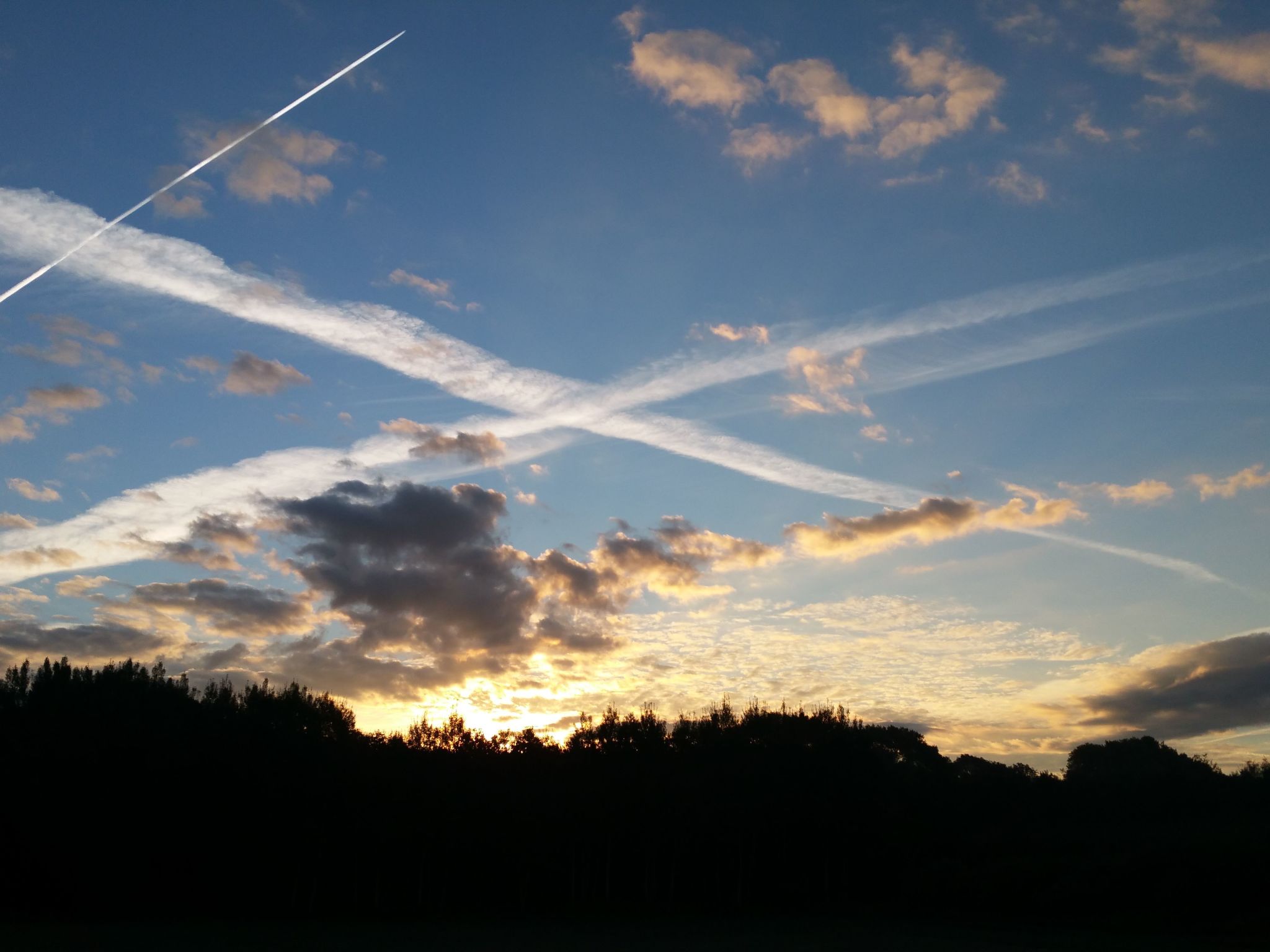 Haus-Zauberblau-Binnen