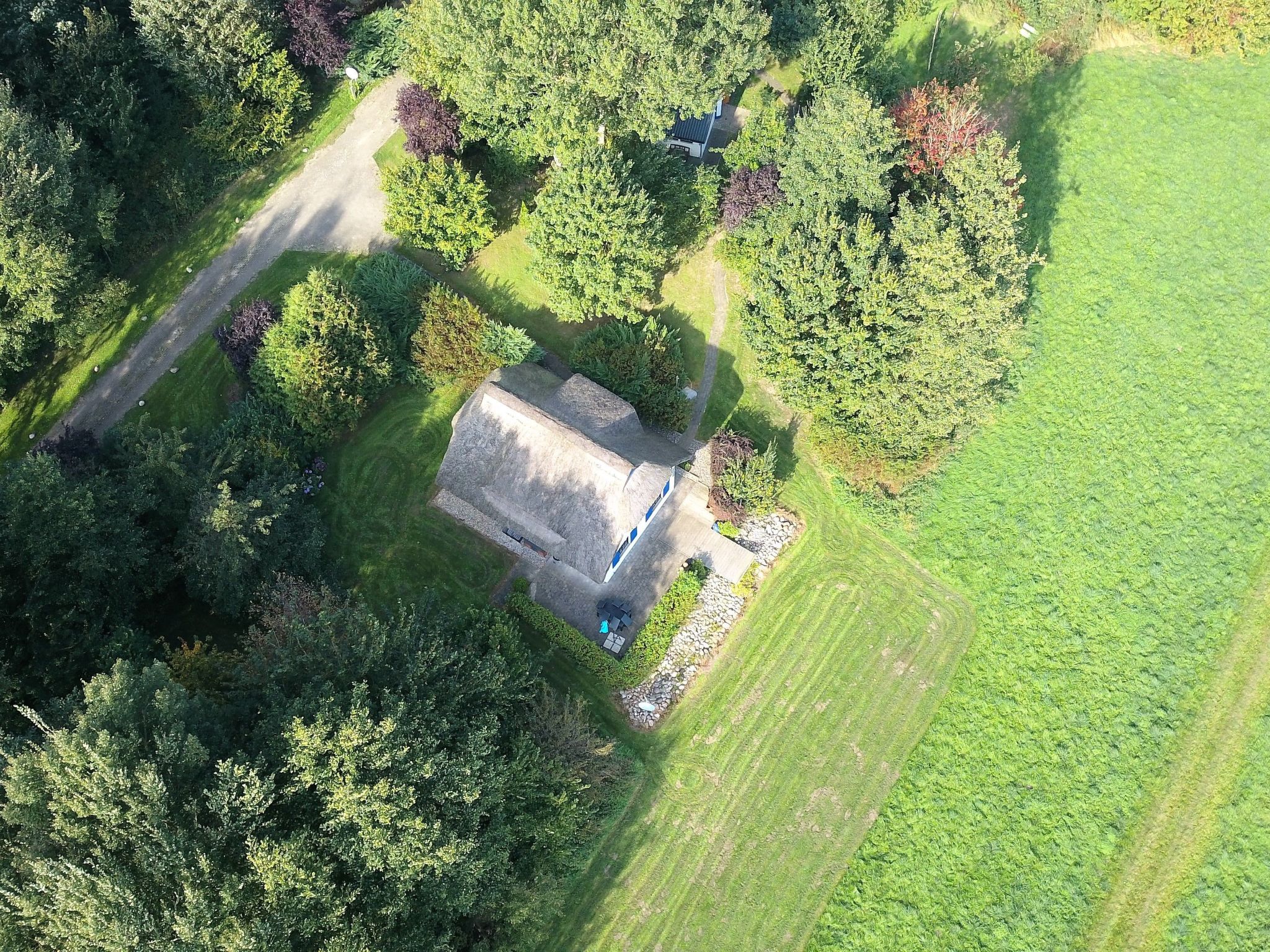 Haus-Zauberblau-Binnen