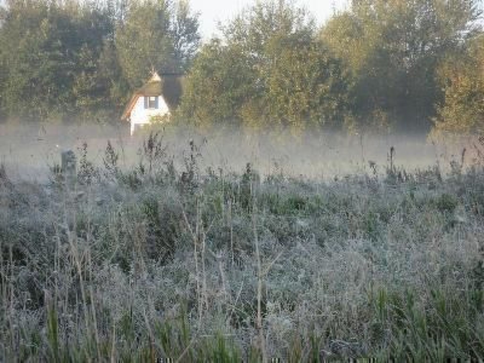 Haus-Zauberblau-Binnen