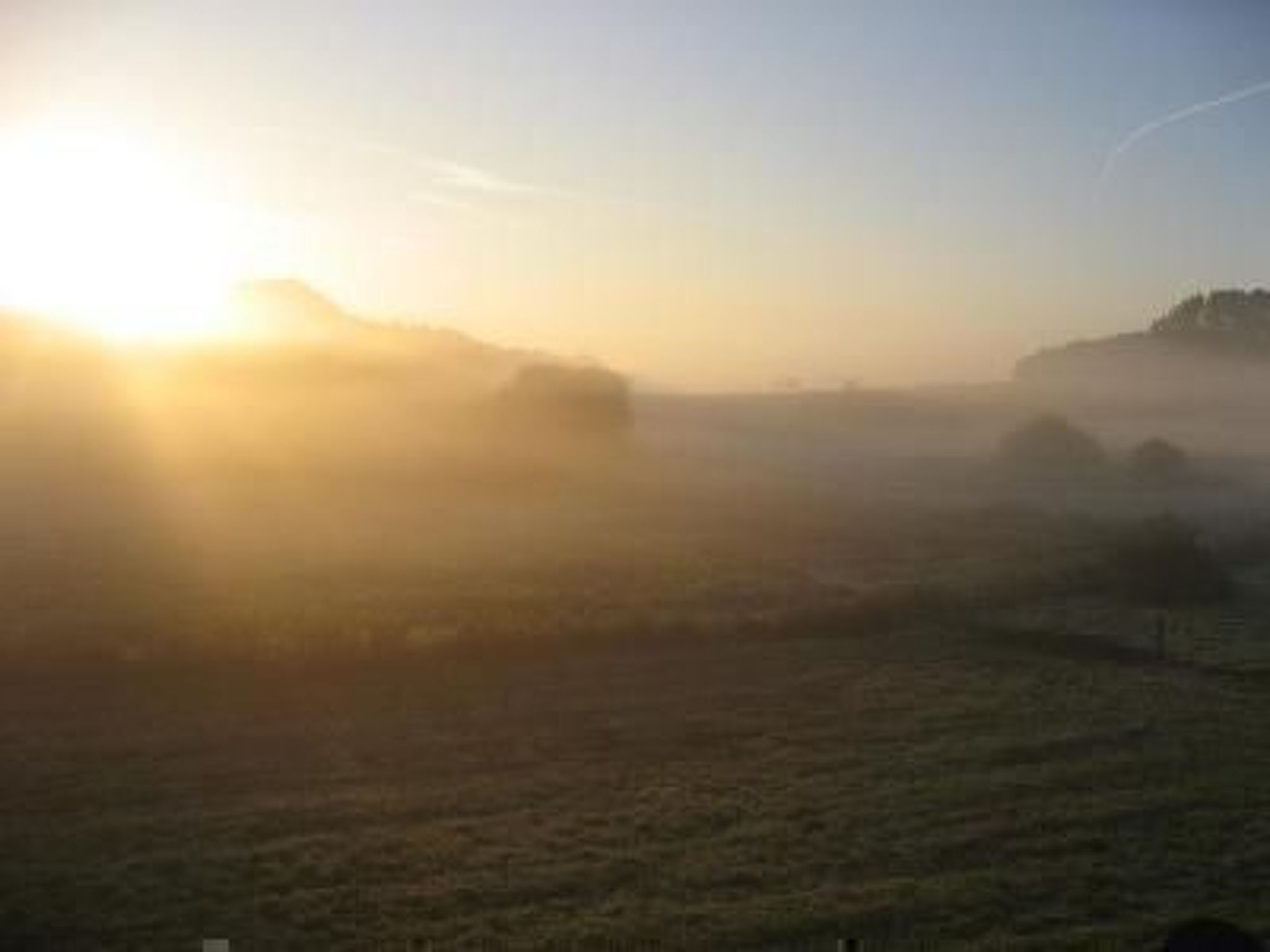 Haus-Zauberblau-Binnen