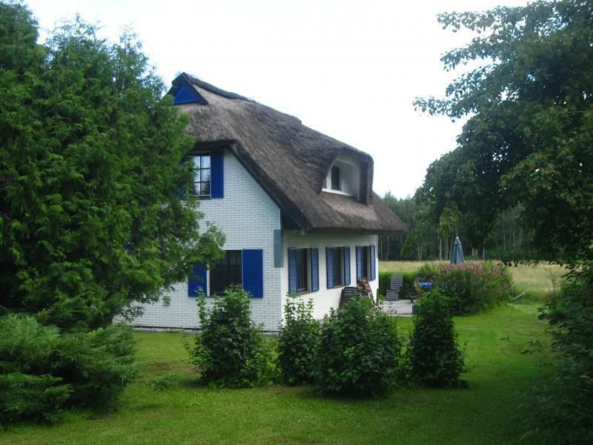 Haus-Zauberblau-Binnen