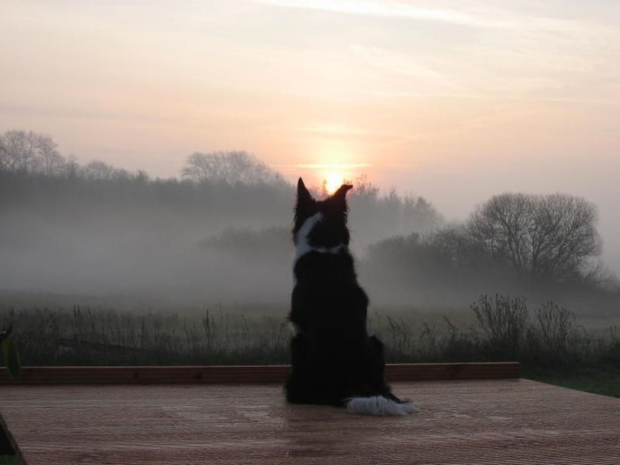 Haus-Zauberblau-Binnen
