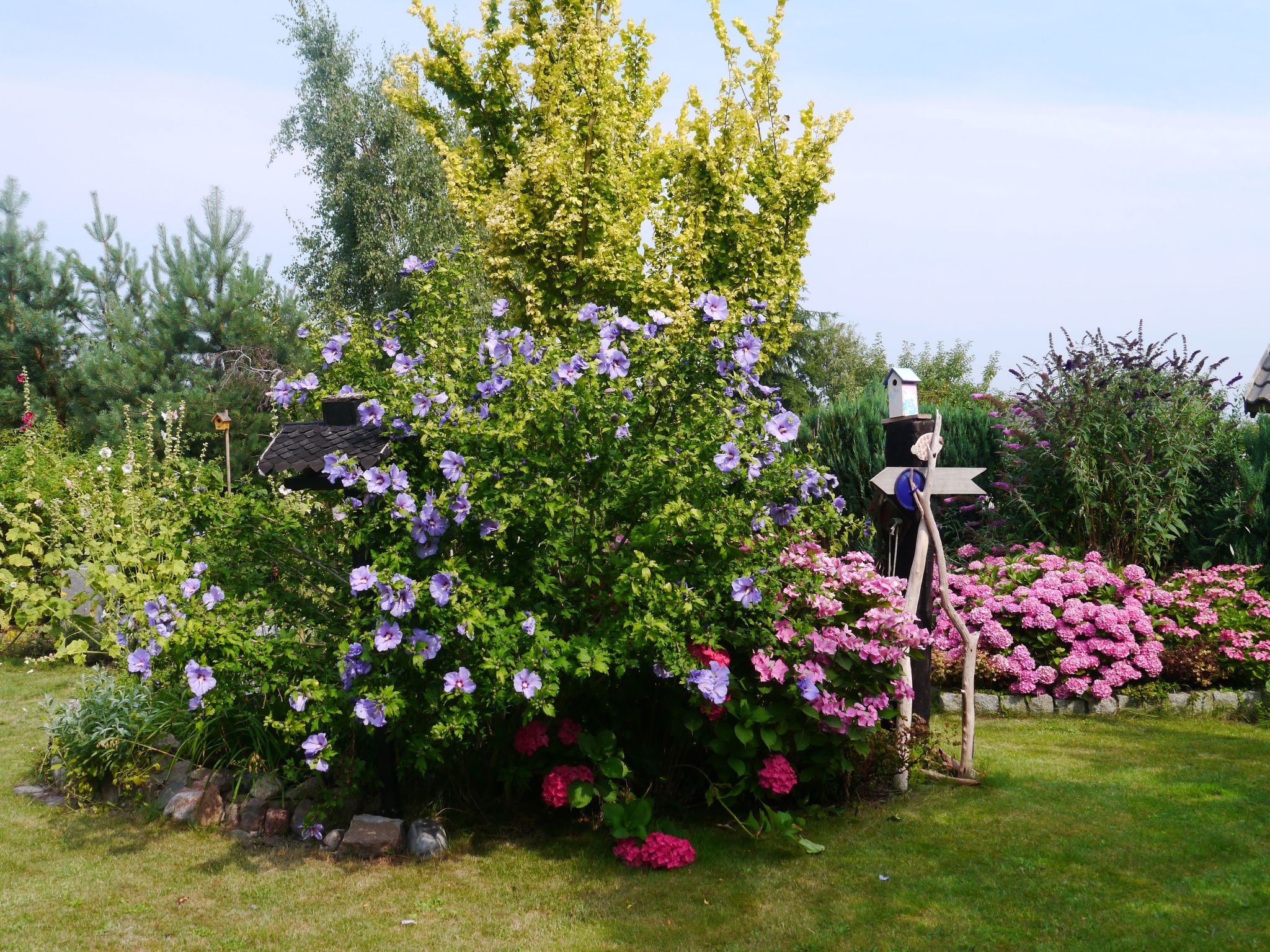 Haus-Zauberblau-Binnen