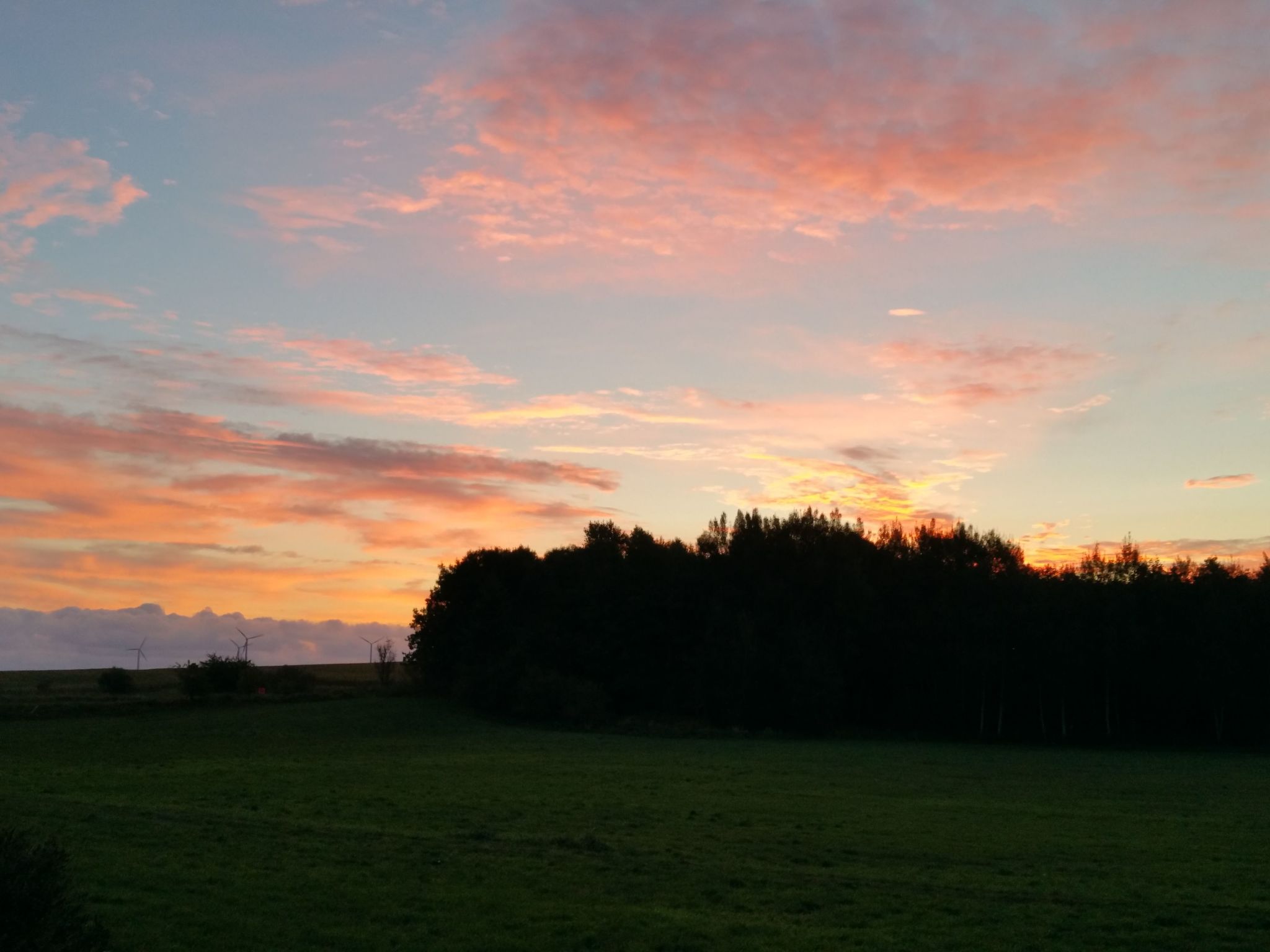 Haus-Zauberblau-Binnen