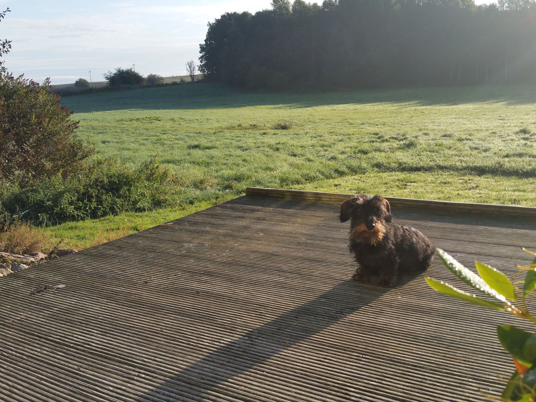 Haus-Zauberblau-Binnen