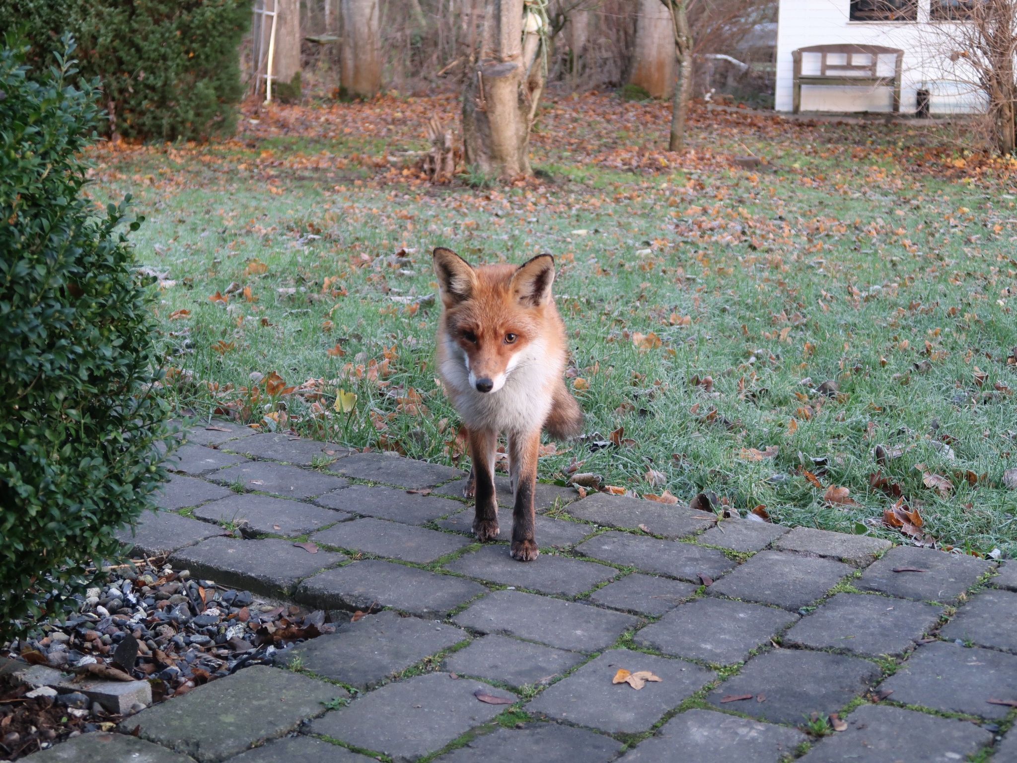 Haus-Zauberblau-Binnen