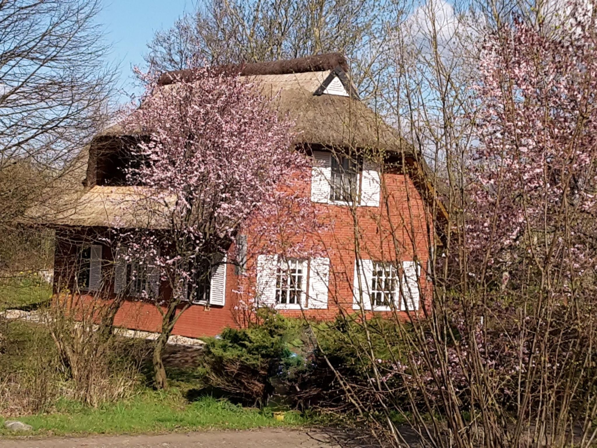 Idyllisches Reetdachhaus mit großem Garten-Binnen