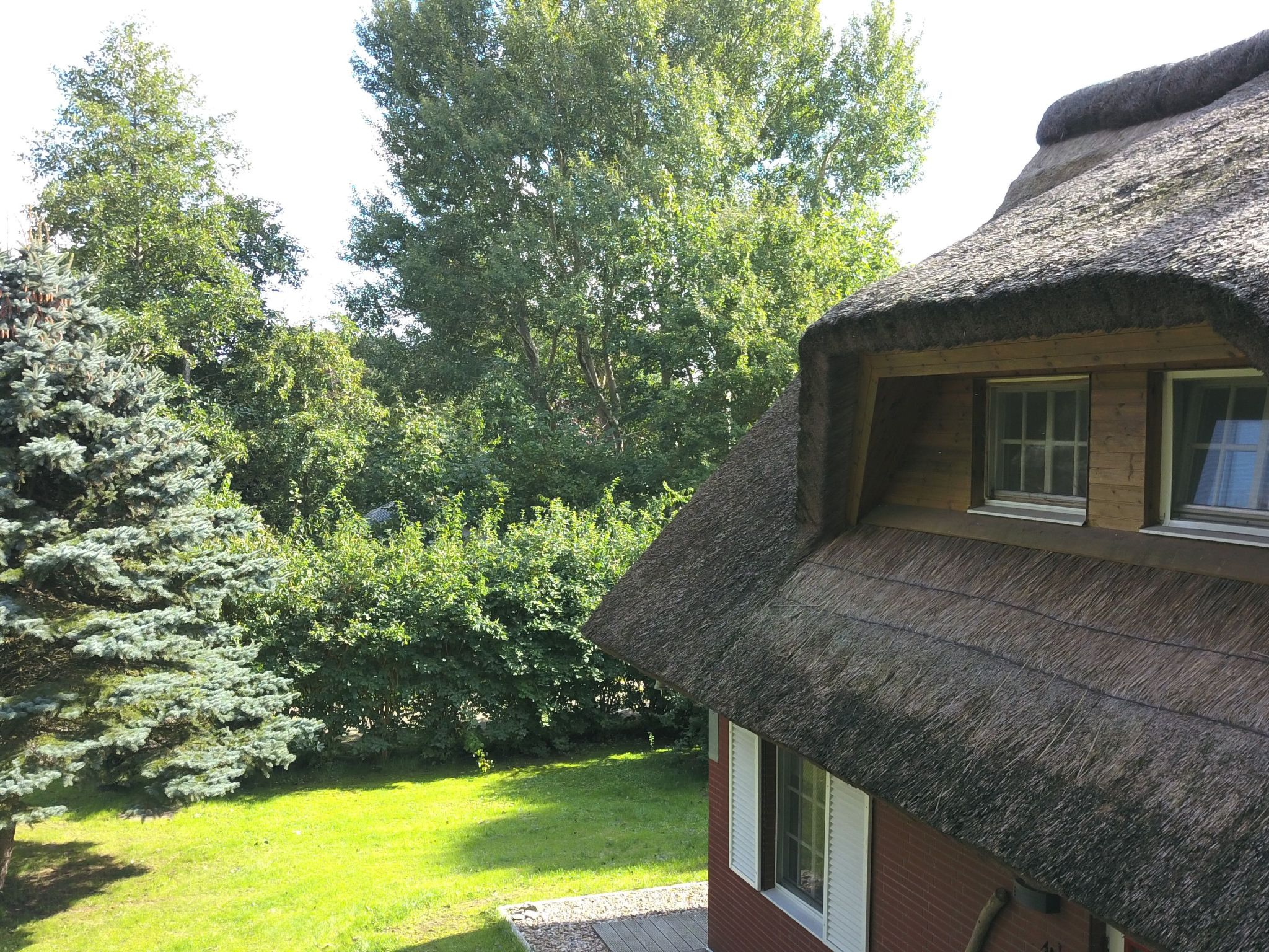 Idyllisches Reetdachhaus mit großem Garten-Binnen