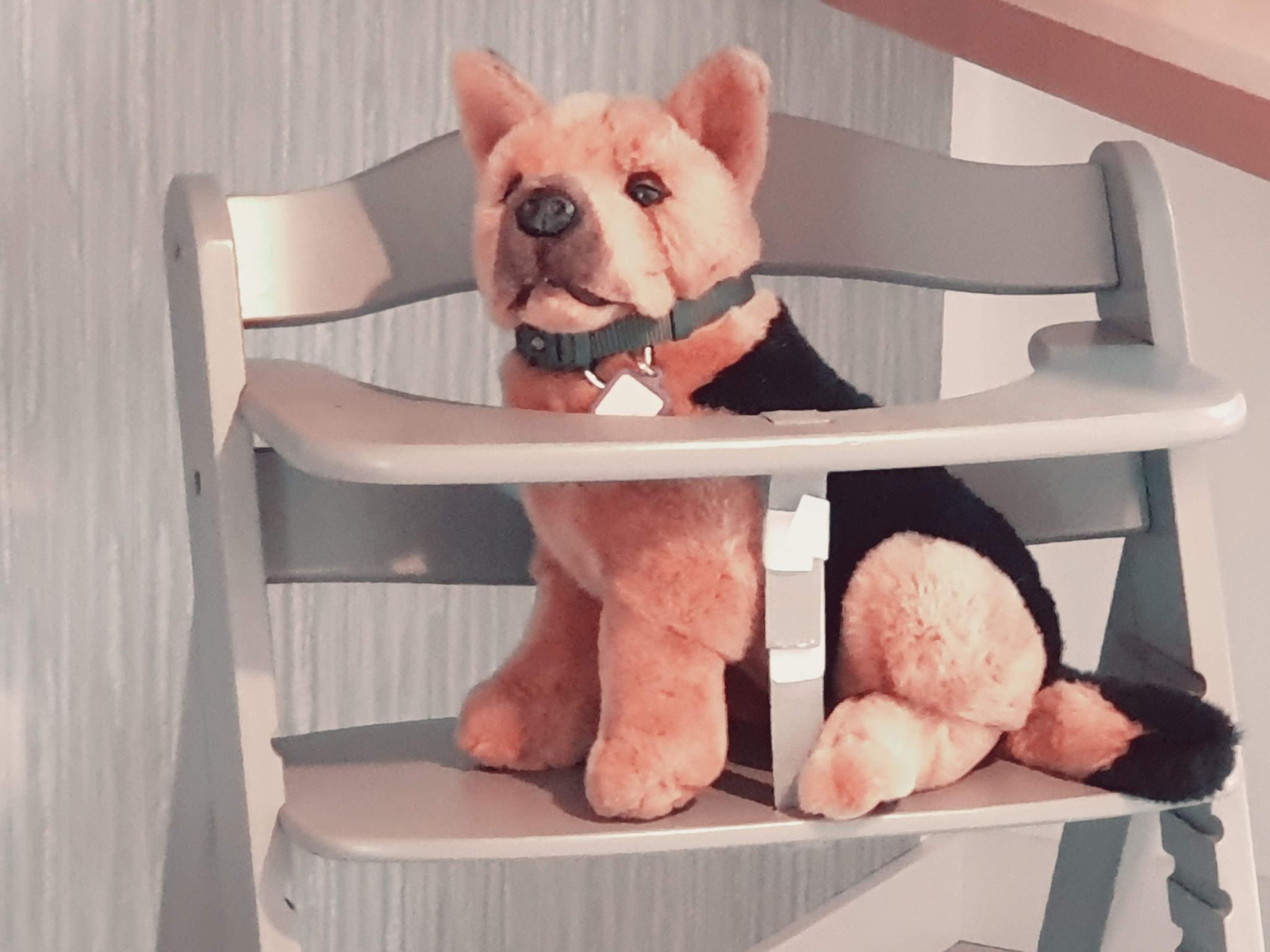 In Mellnitz mit Großem Garten-Inside