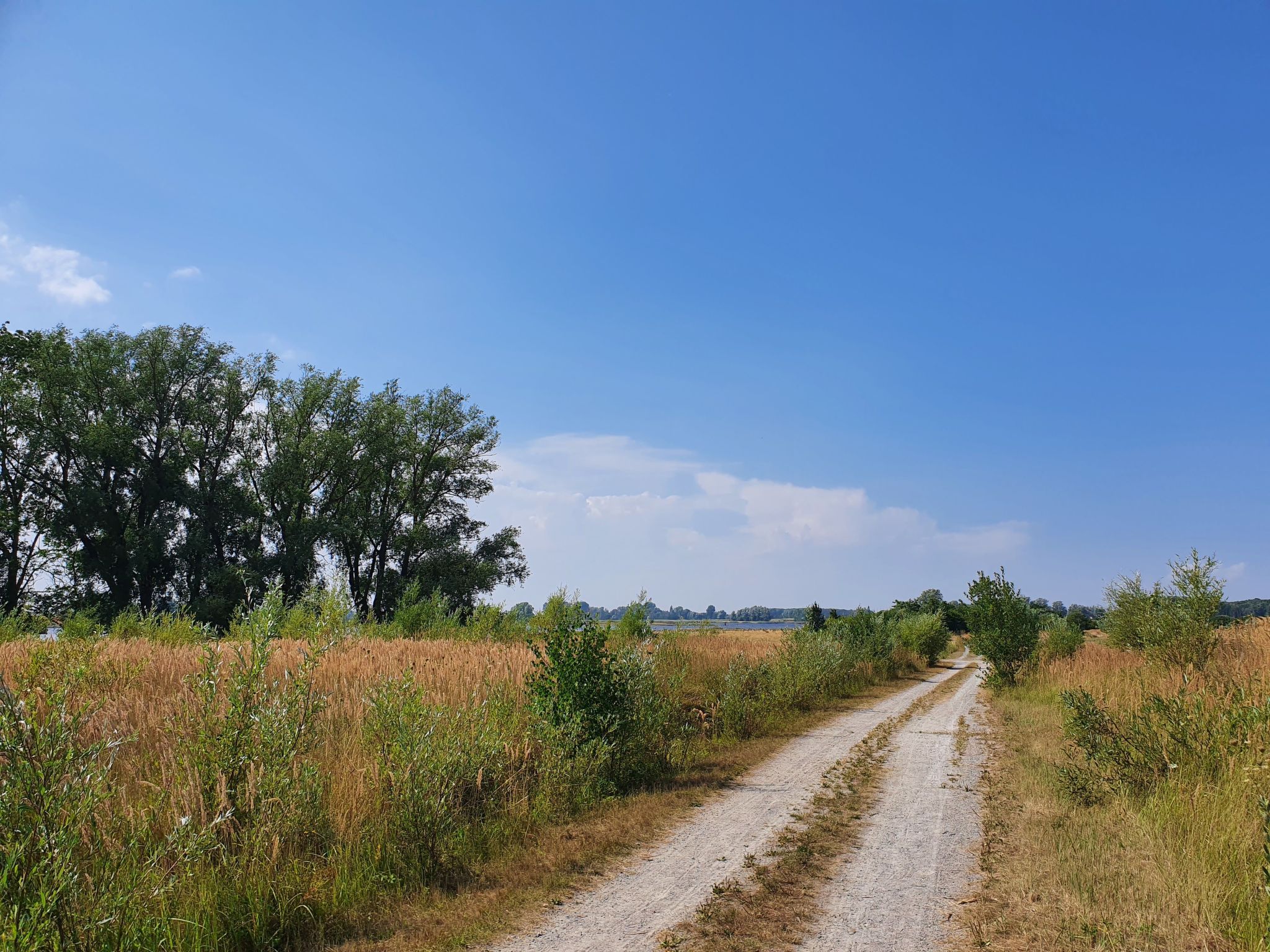 In Mellnitz mit Großem Garten-Inside