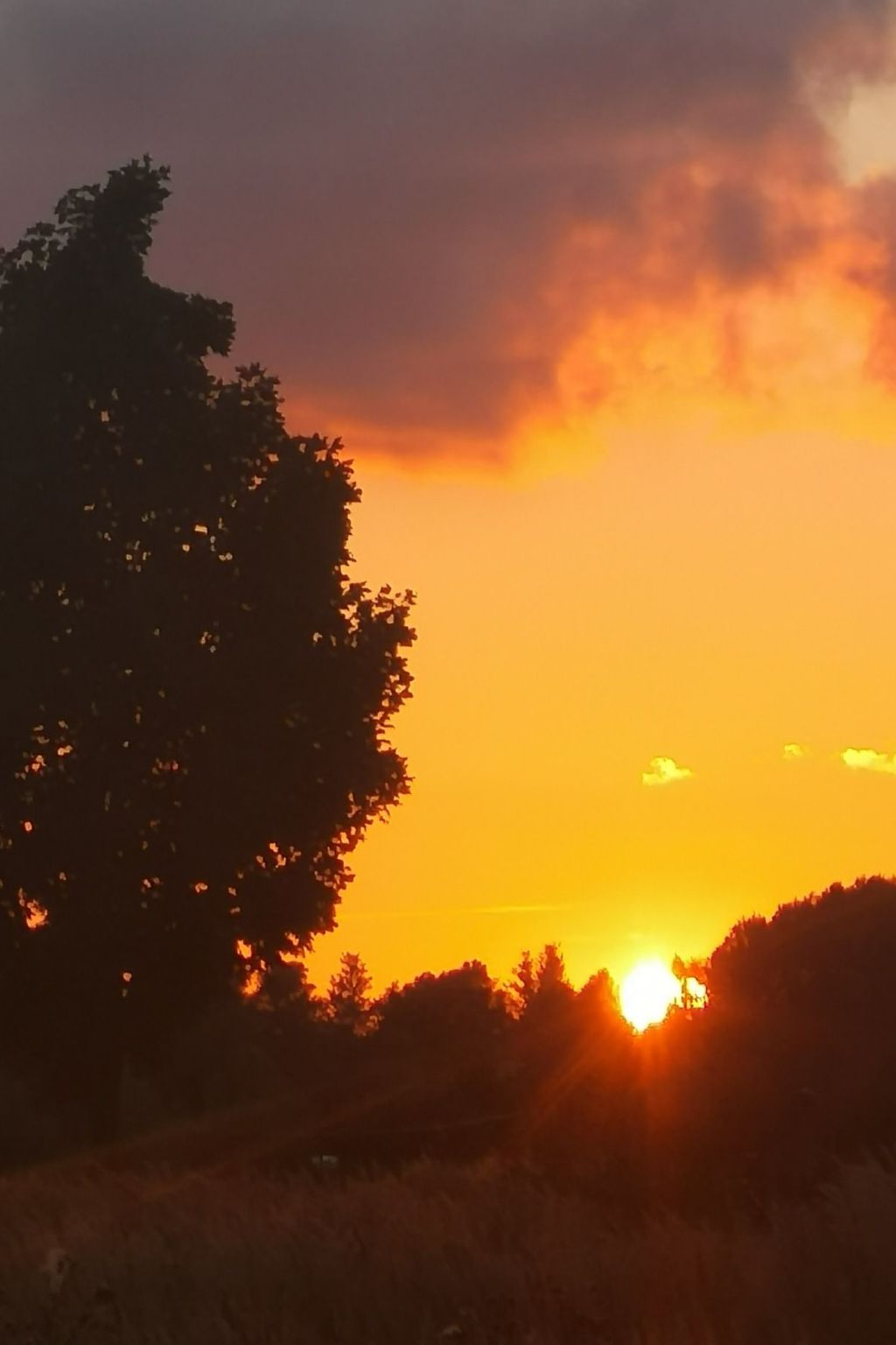 In Mellnitz mit Großem Garten-Inside