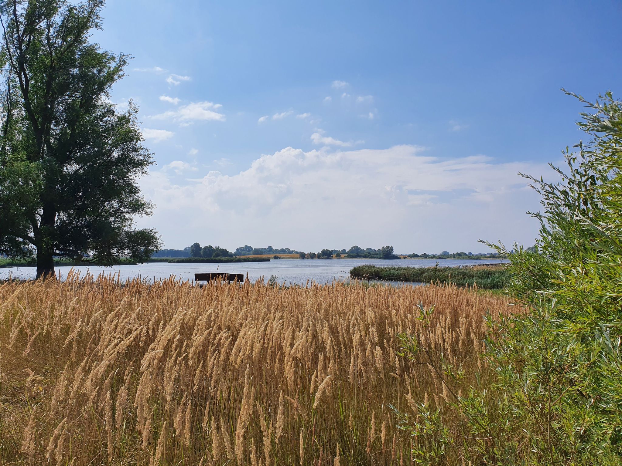 In Mellnitz mit Großem Garten-Inside