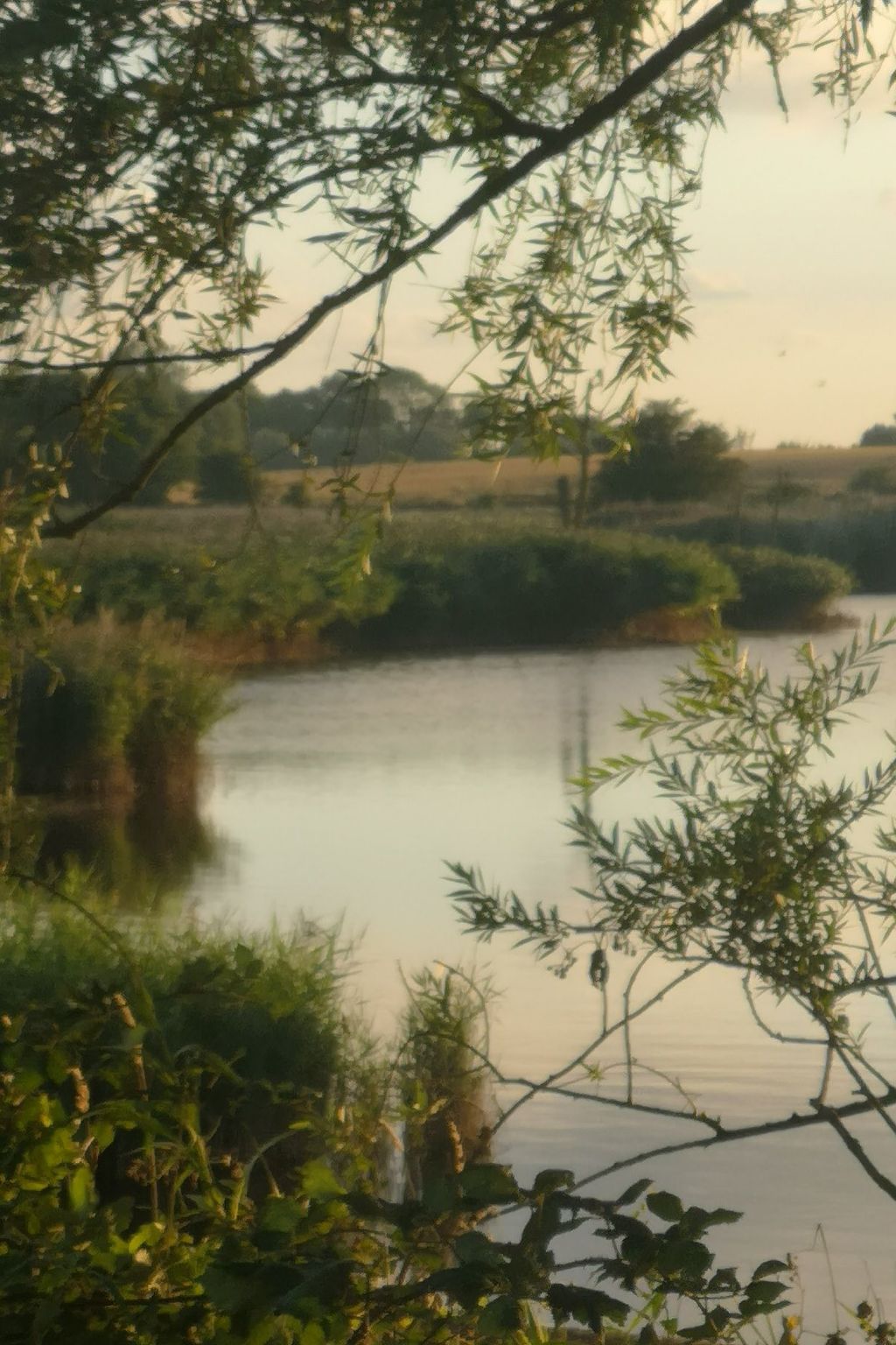 In Mellnitz mit Großem Garten-Inside
