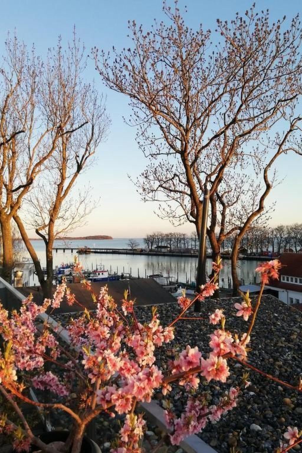 Boddenblick-Vilm-Binnen