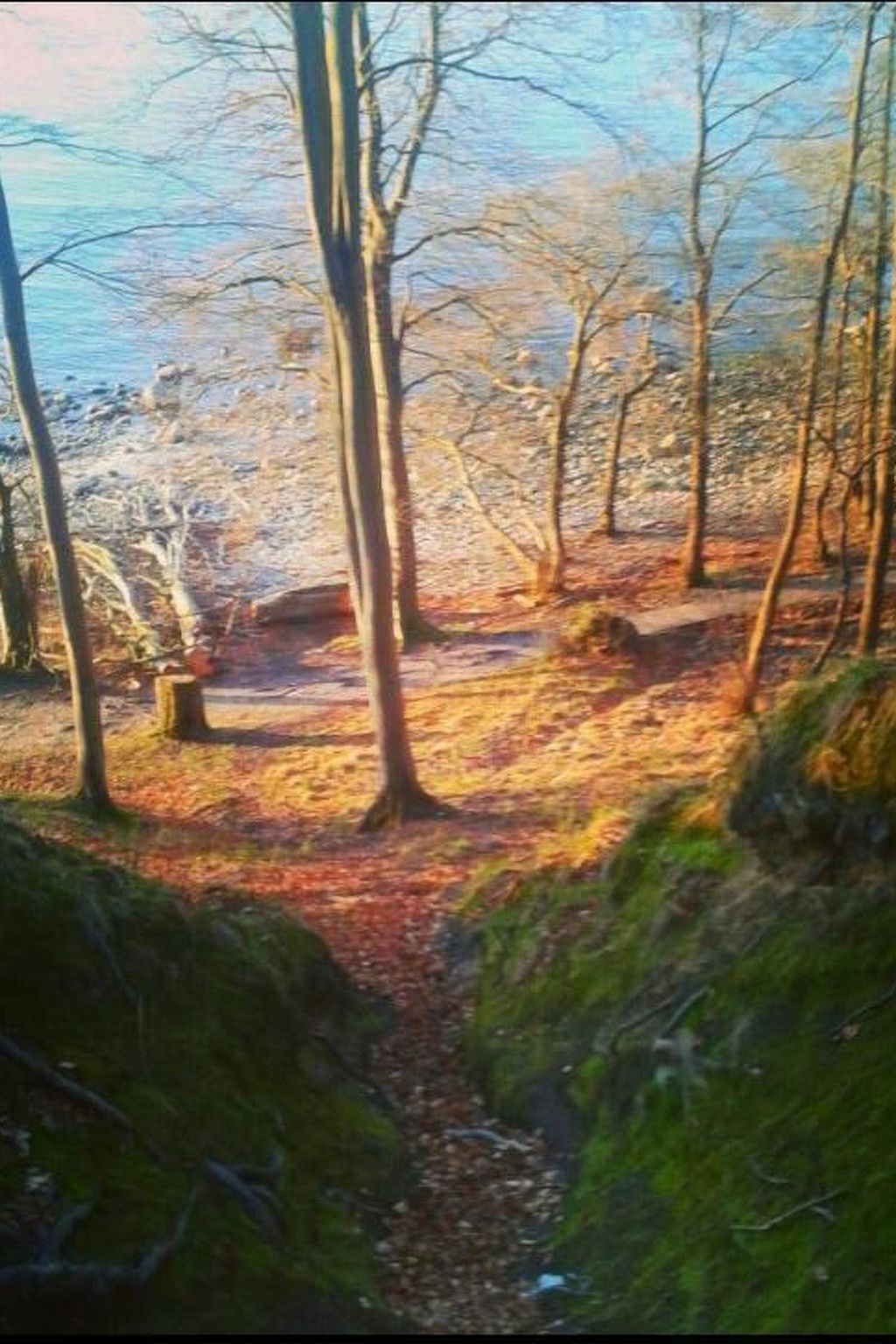 Florö-Image-tags.info