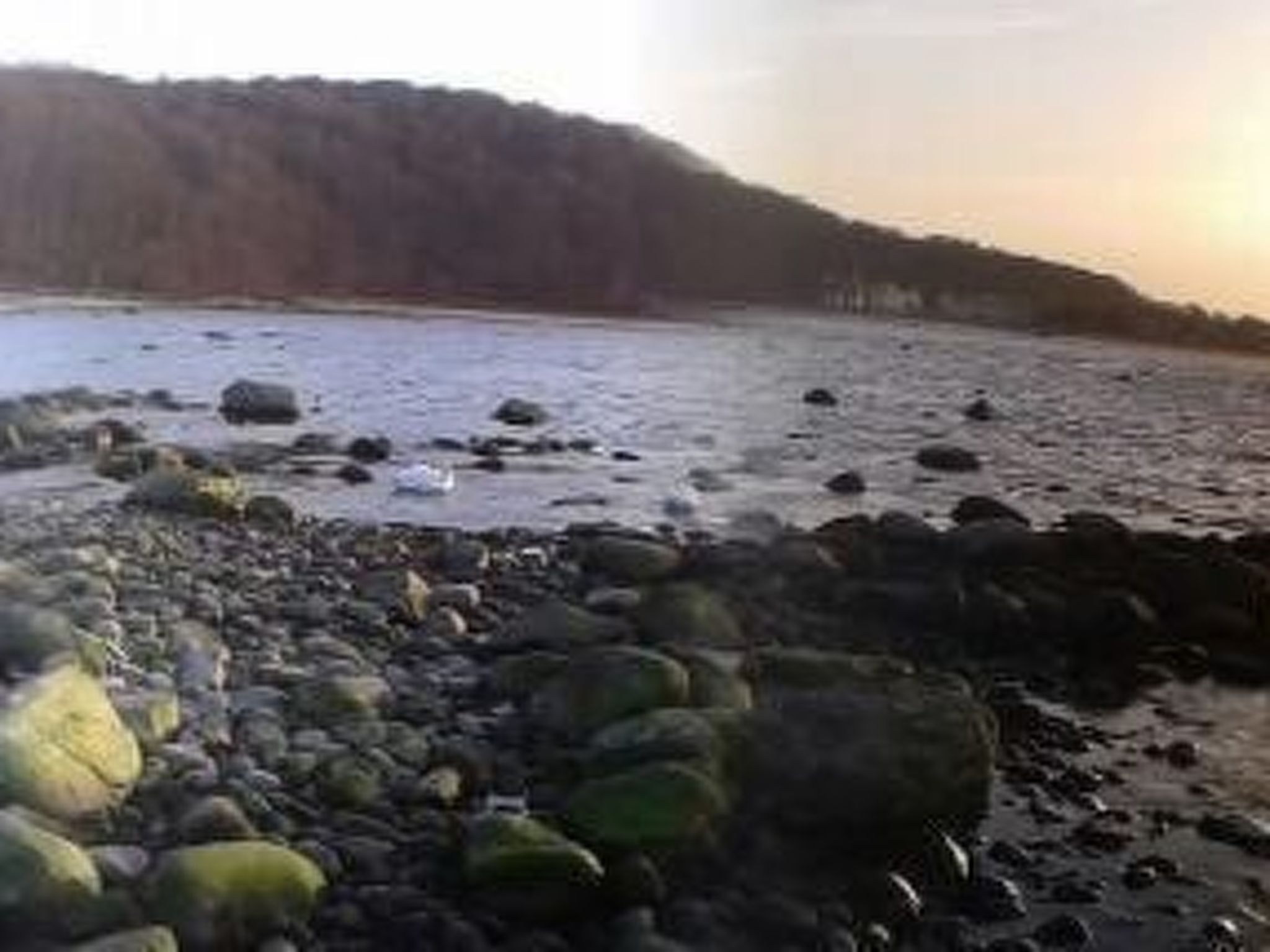 Florö-Image-tags.info