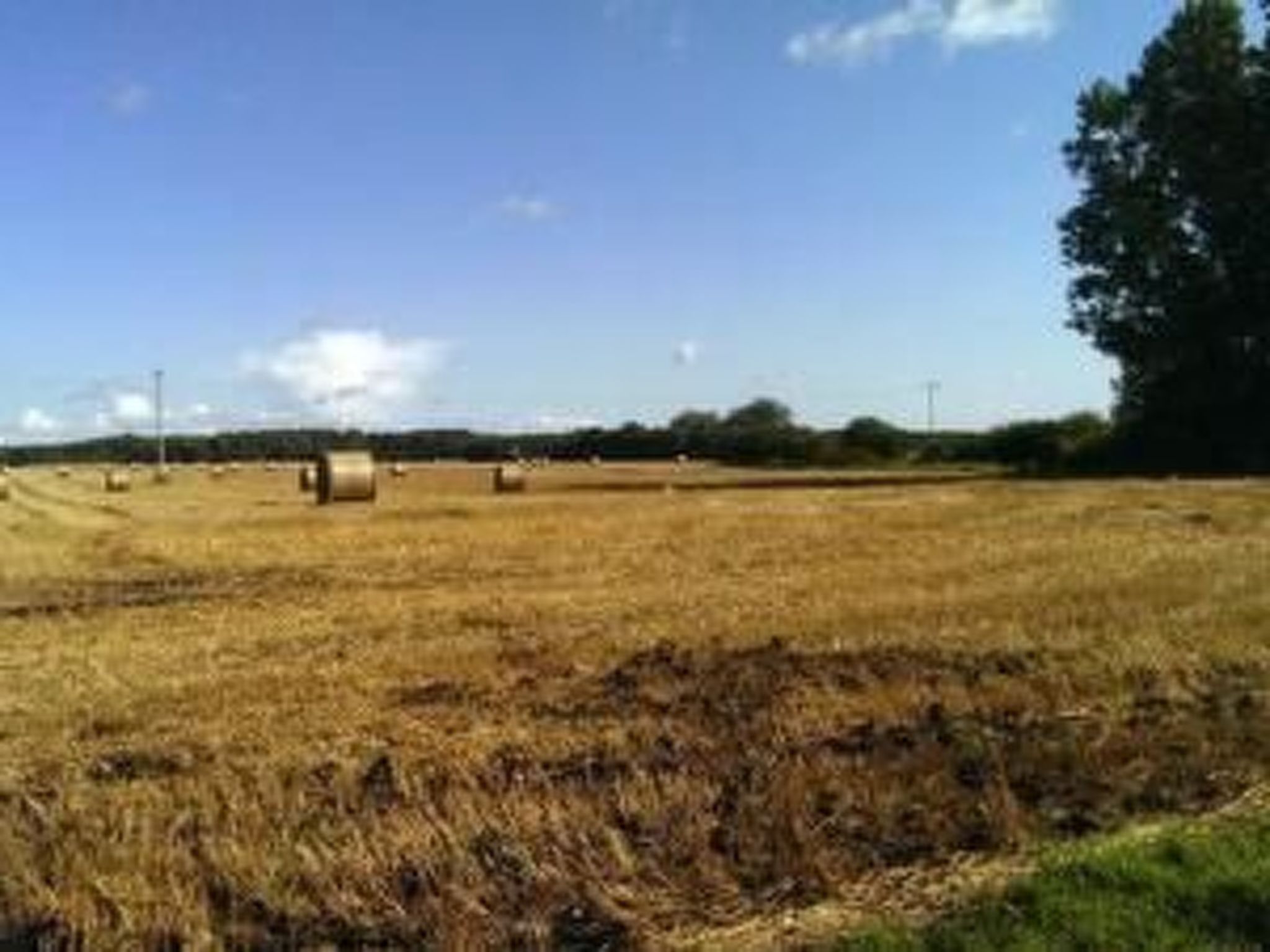 In Vorland mit Grill und Garten-Image-tags.info