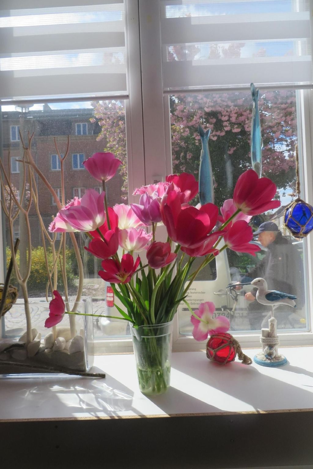 Appartement in Wismar mit Terrasse und Garten-Image-tags.info