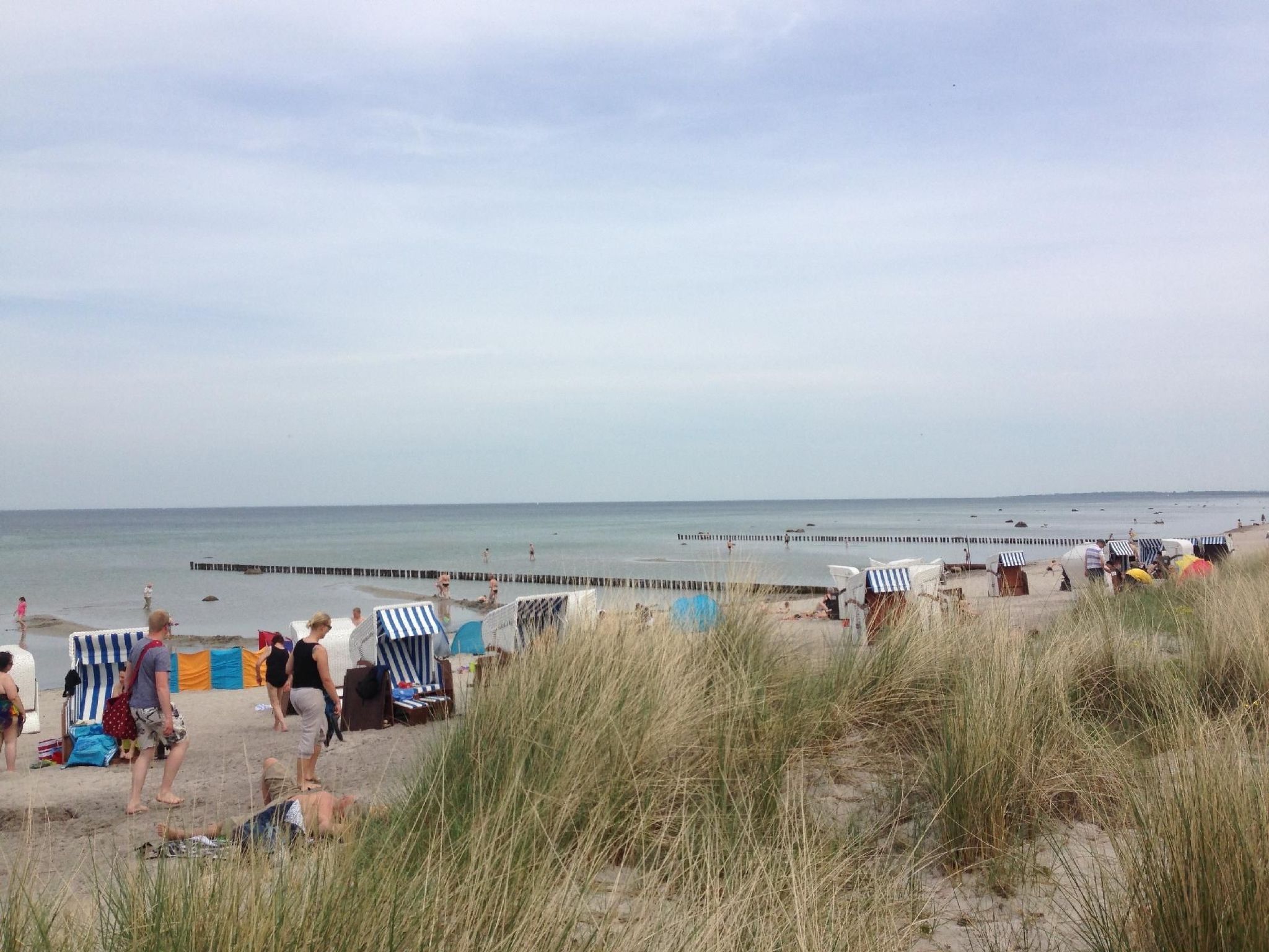 Appartement in Wismar mit Terrasse und Garten-Image-tags.info