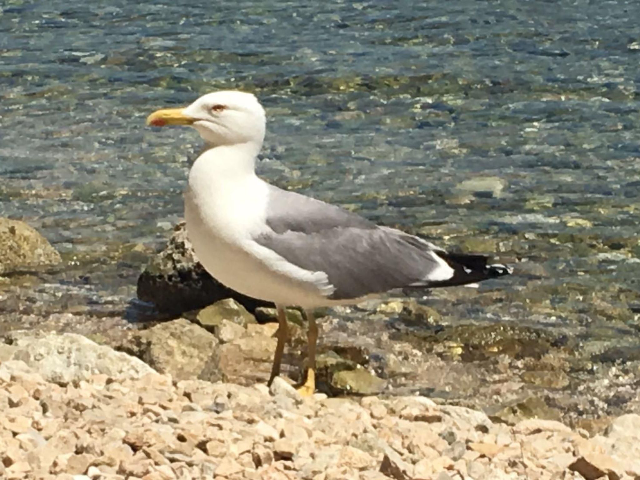 Appartement in Wismar mit Terrasse und Garten-Image-tags.info