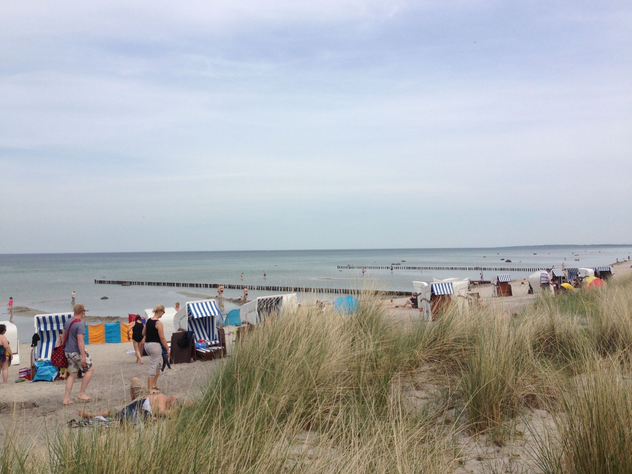 Appartement in Wismar mit Garten-Image-tags.info