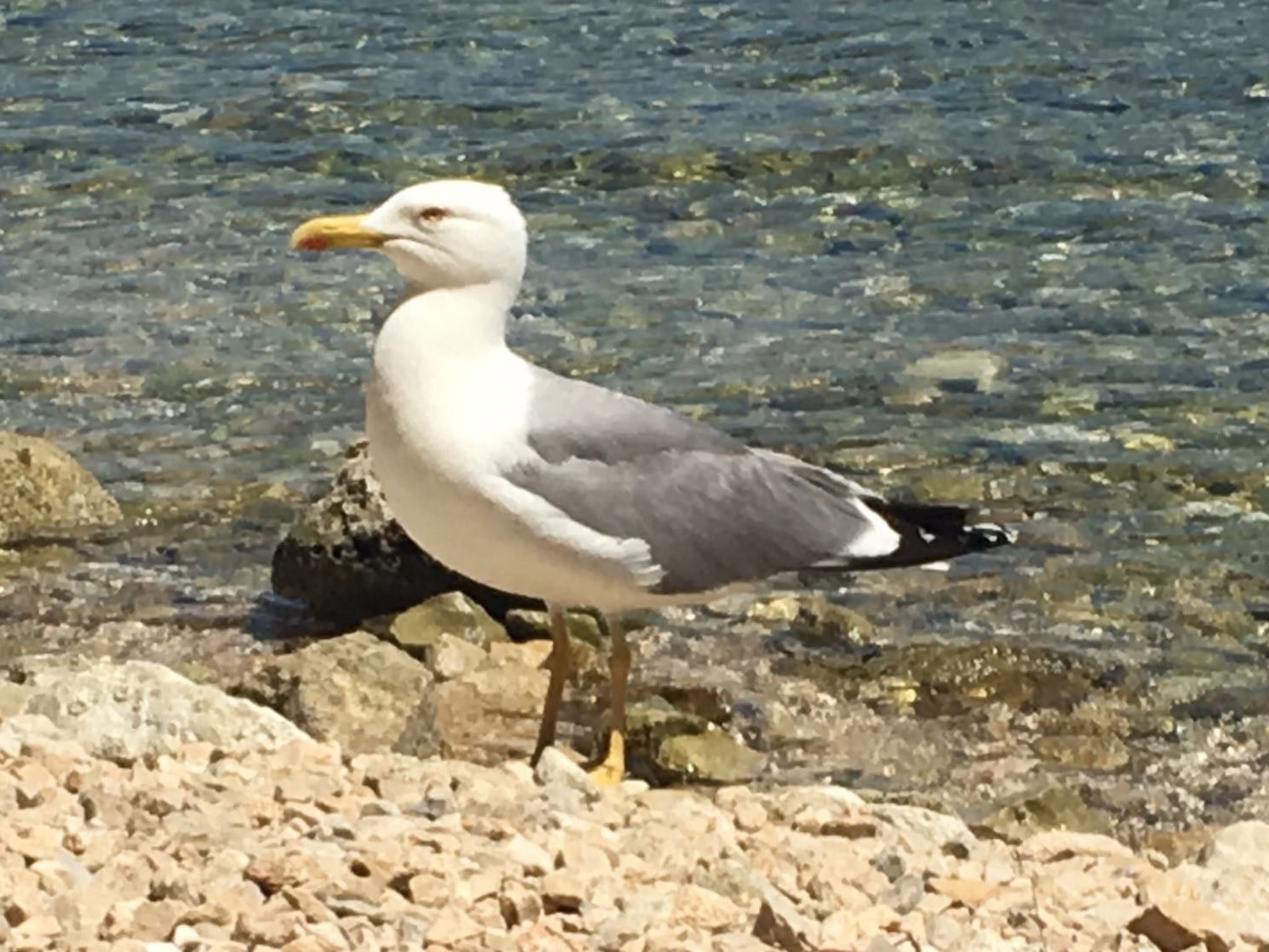 Appartement in Wismar mit Garten-Image-tags.info