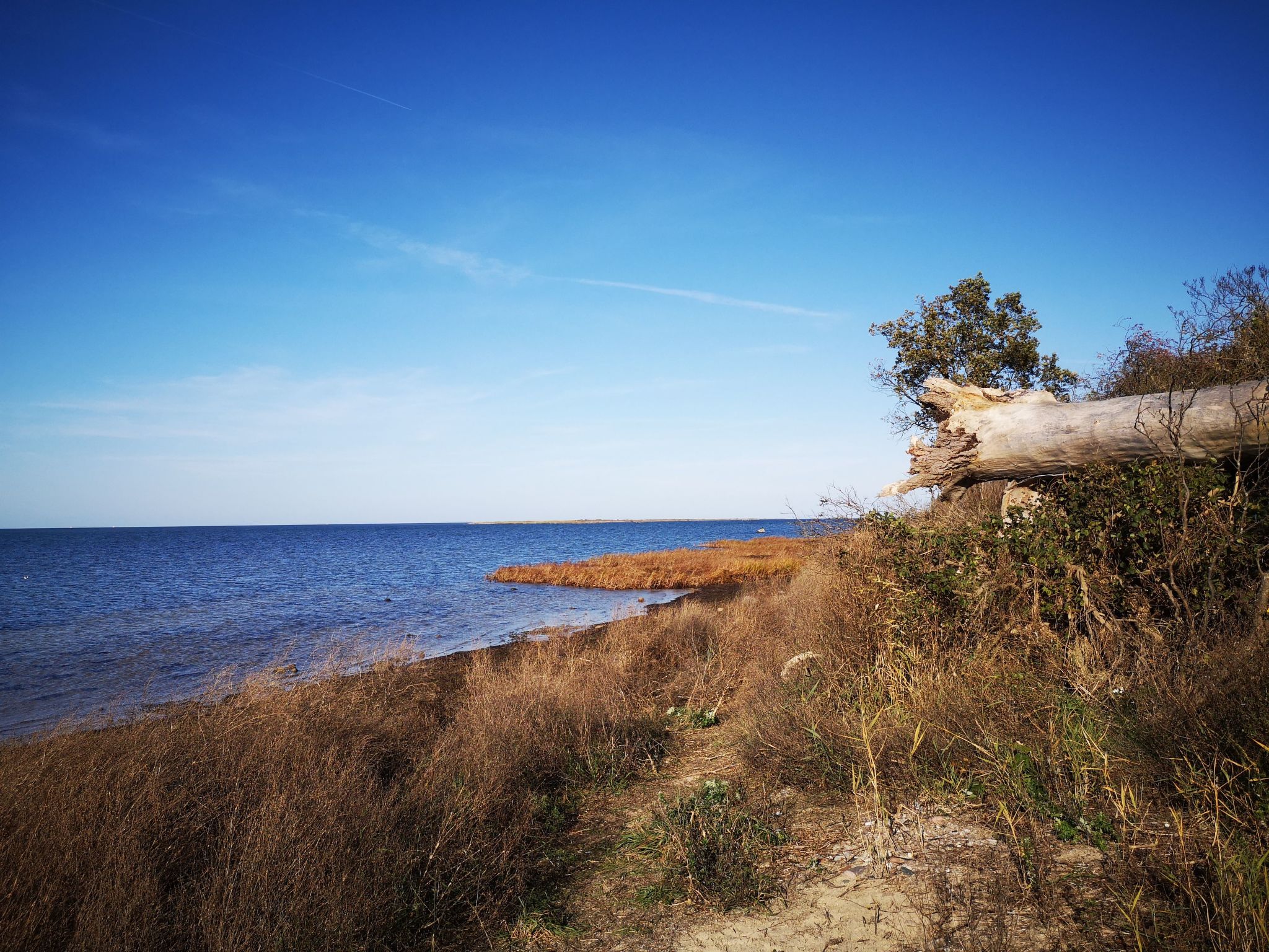 FH Salzhaff-Urlaub-Binnen