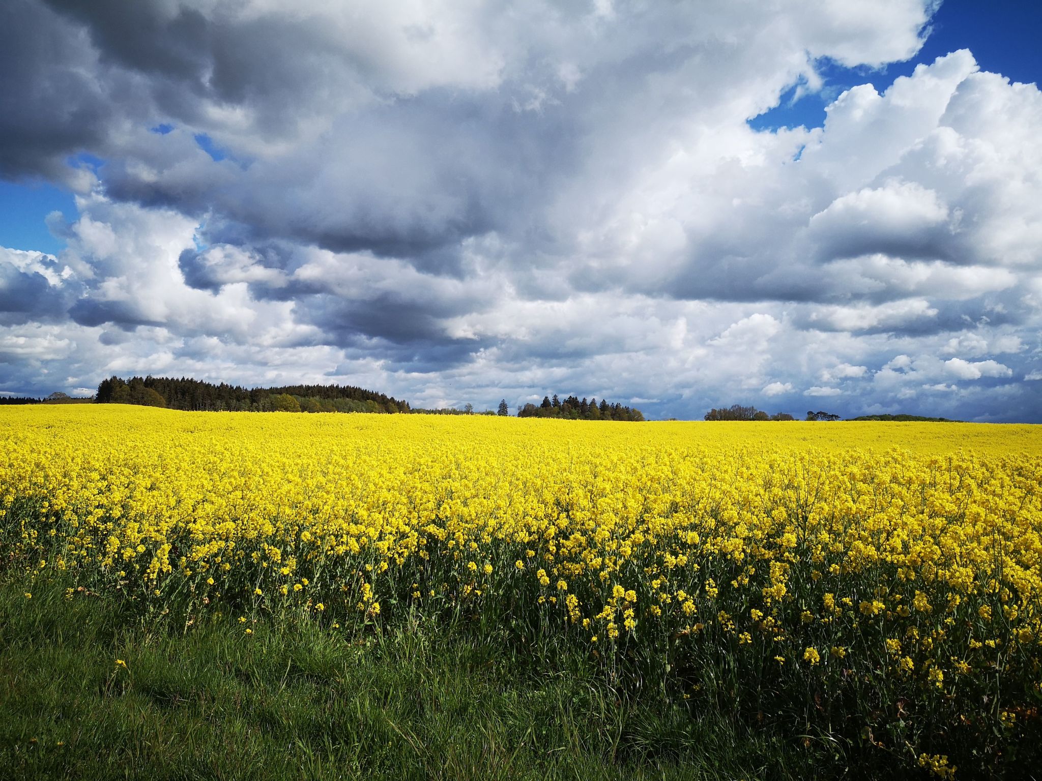 FH Salzhaff-Urlaub-Binnen