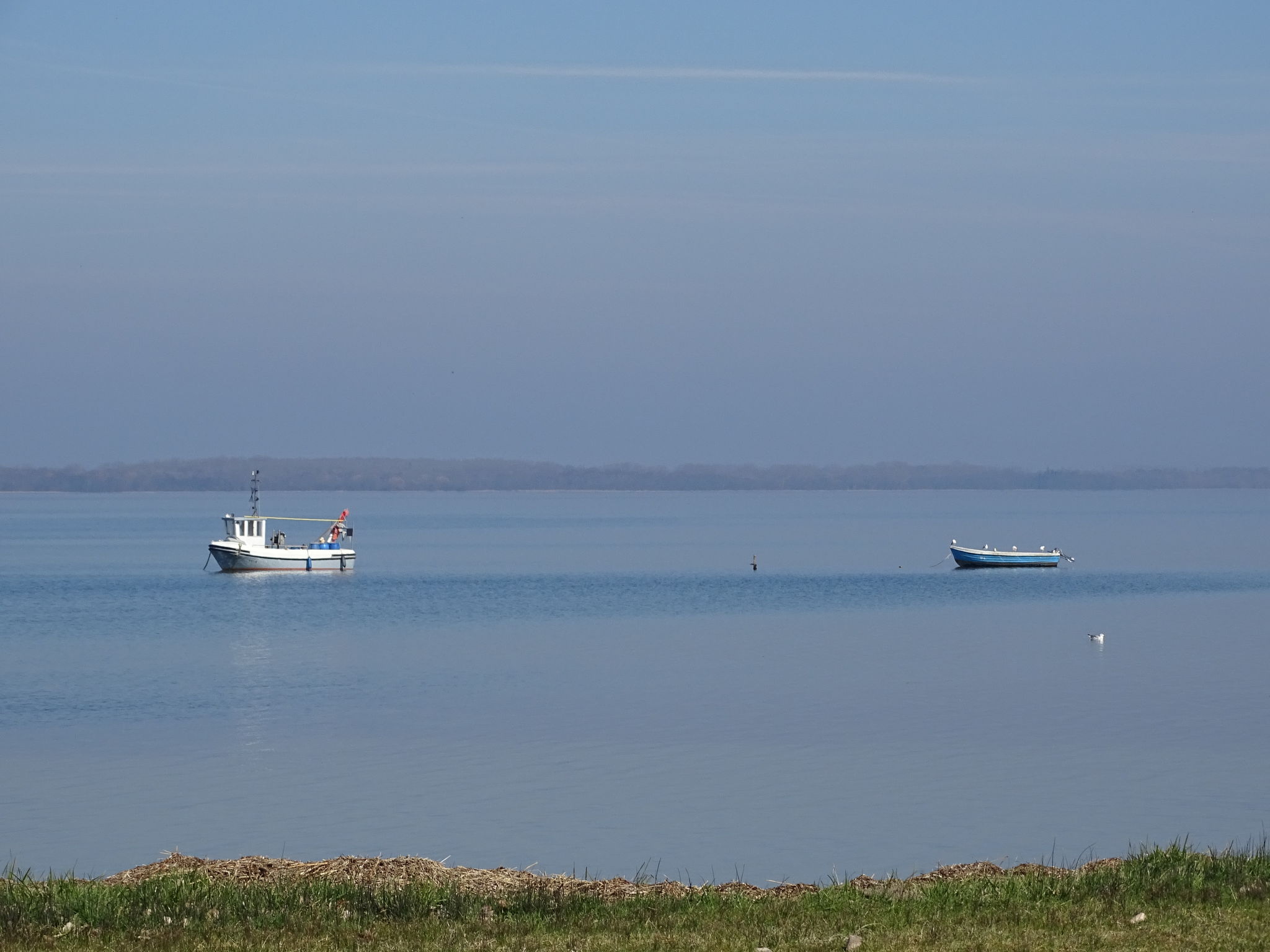 FH Salzhaff-Urlaub-Omgeving