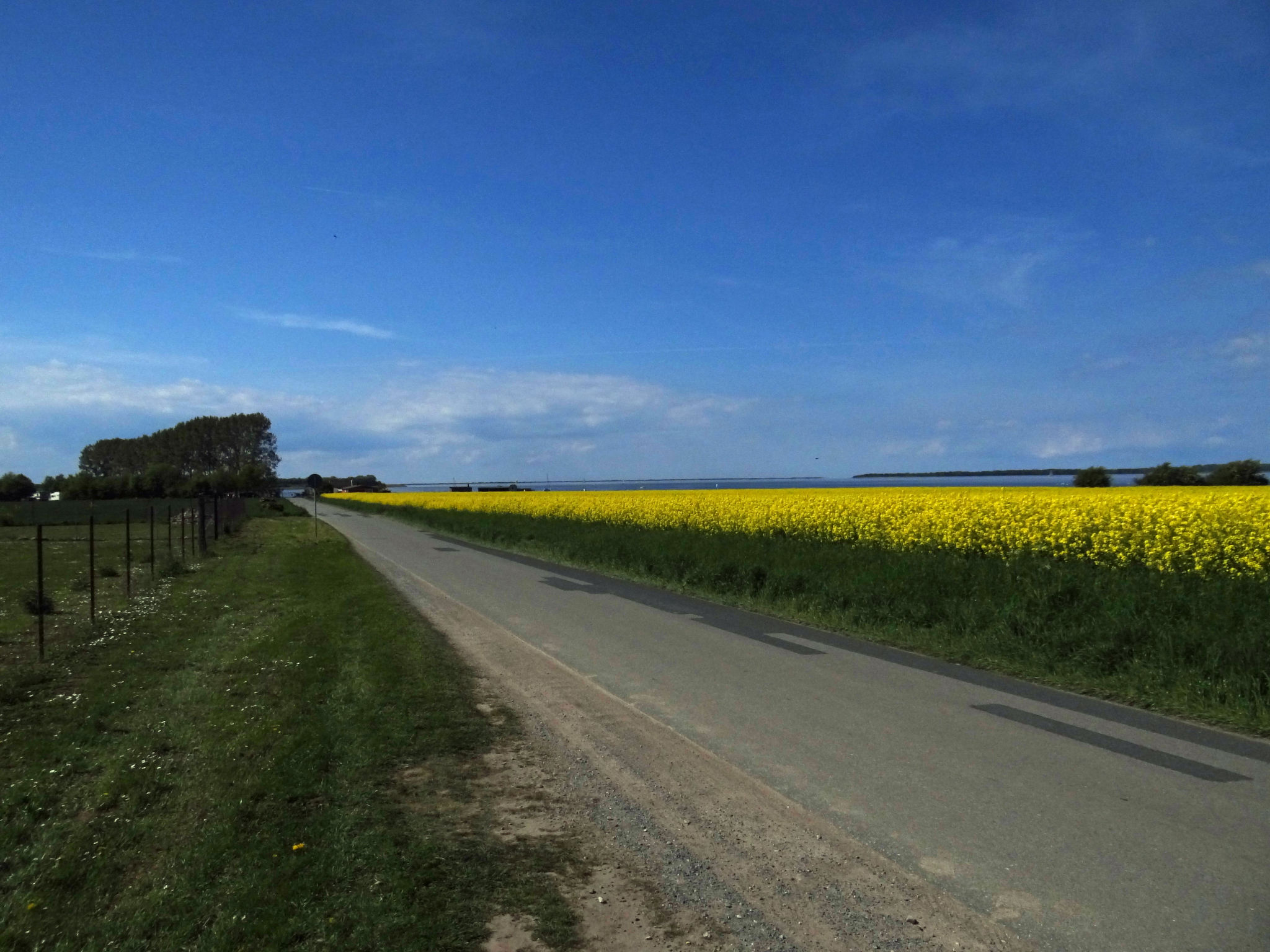 FH Salzhaff-Urlaub-Omgeving