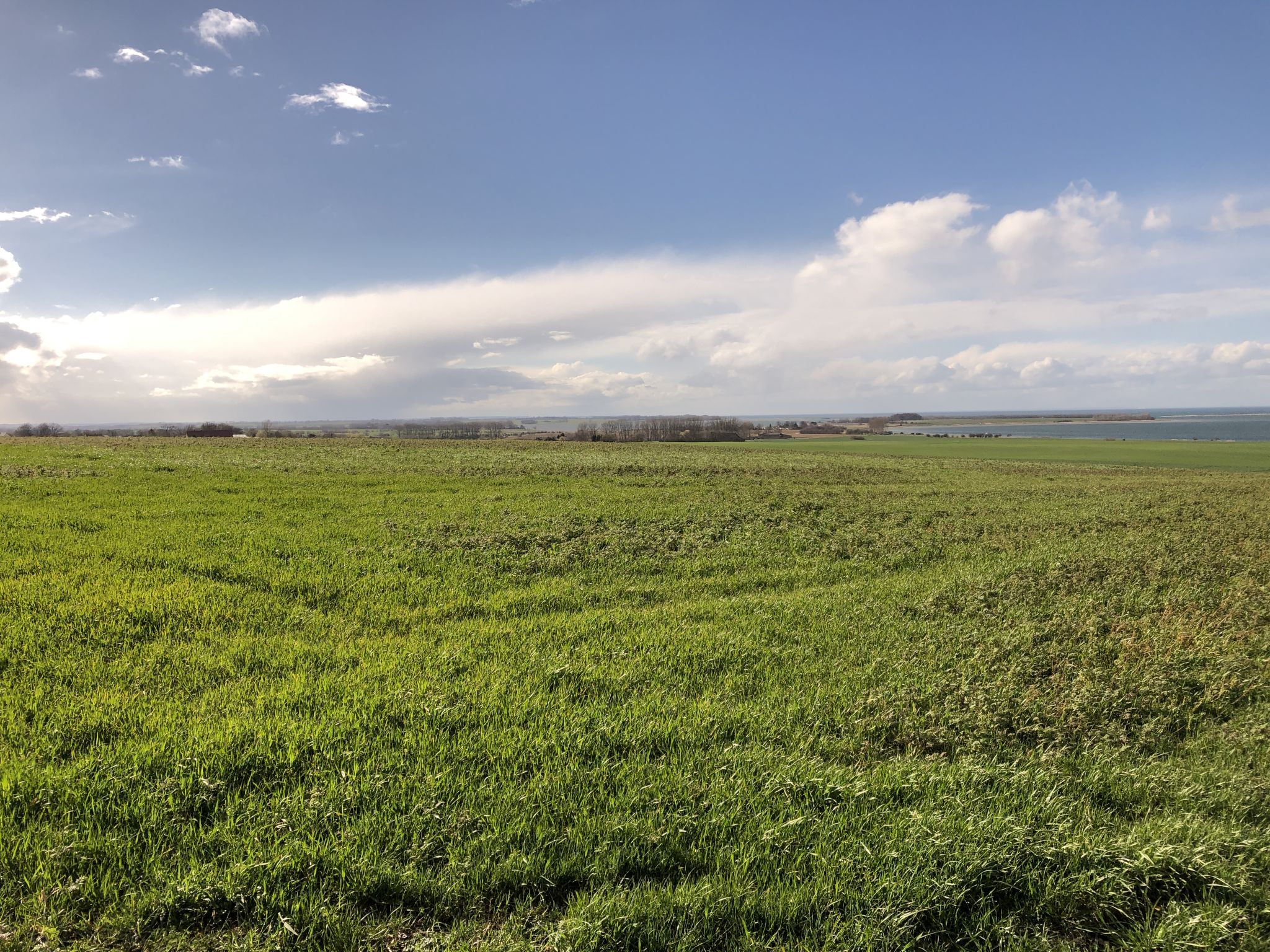 Wohnung in Dreveskirchen mit Kleinem Garten-Umgebung