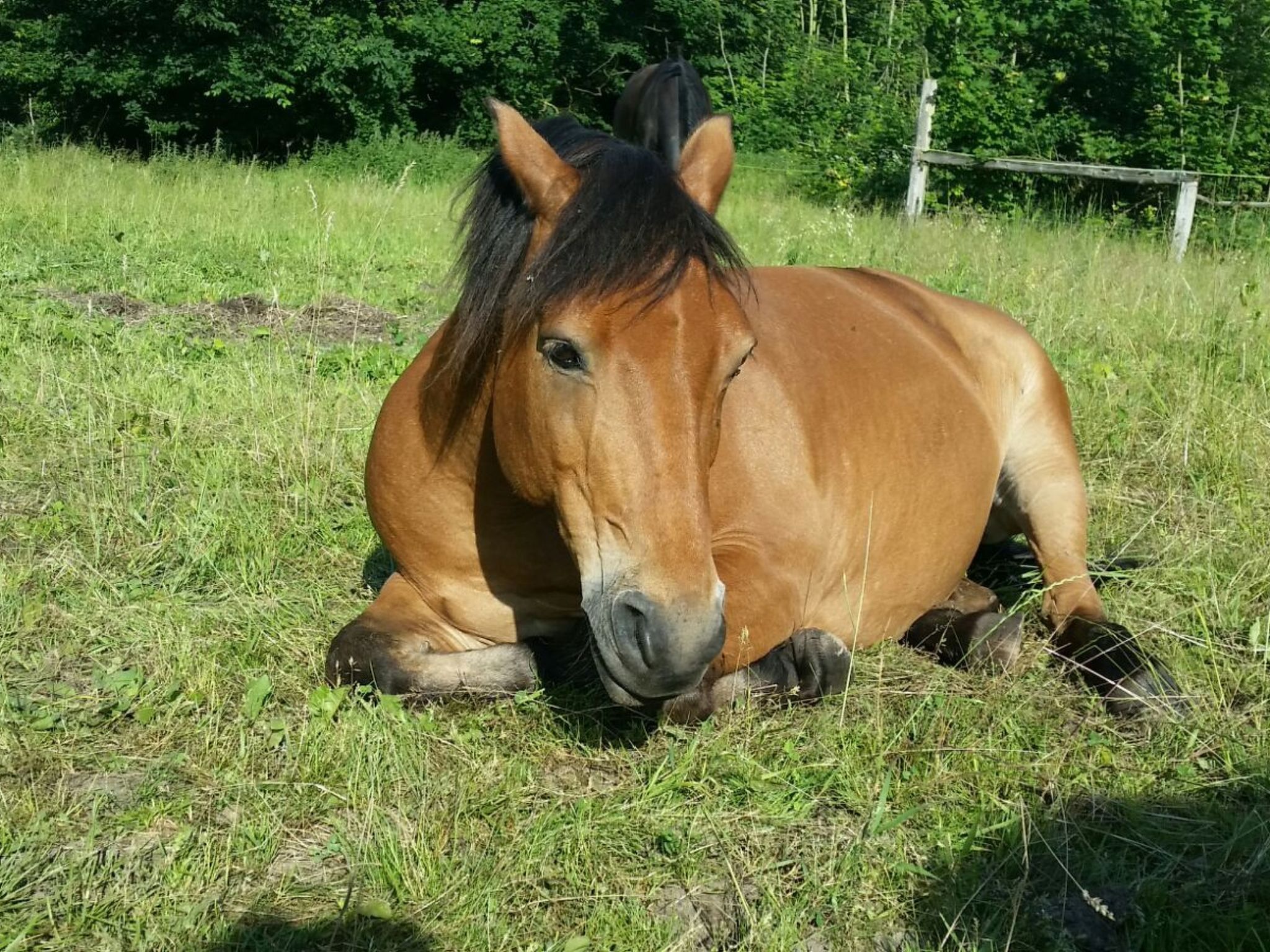 Wohnung in Dreveskirchen mit Kleinem Garten-Image-tags.info