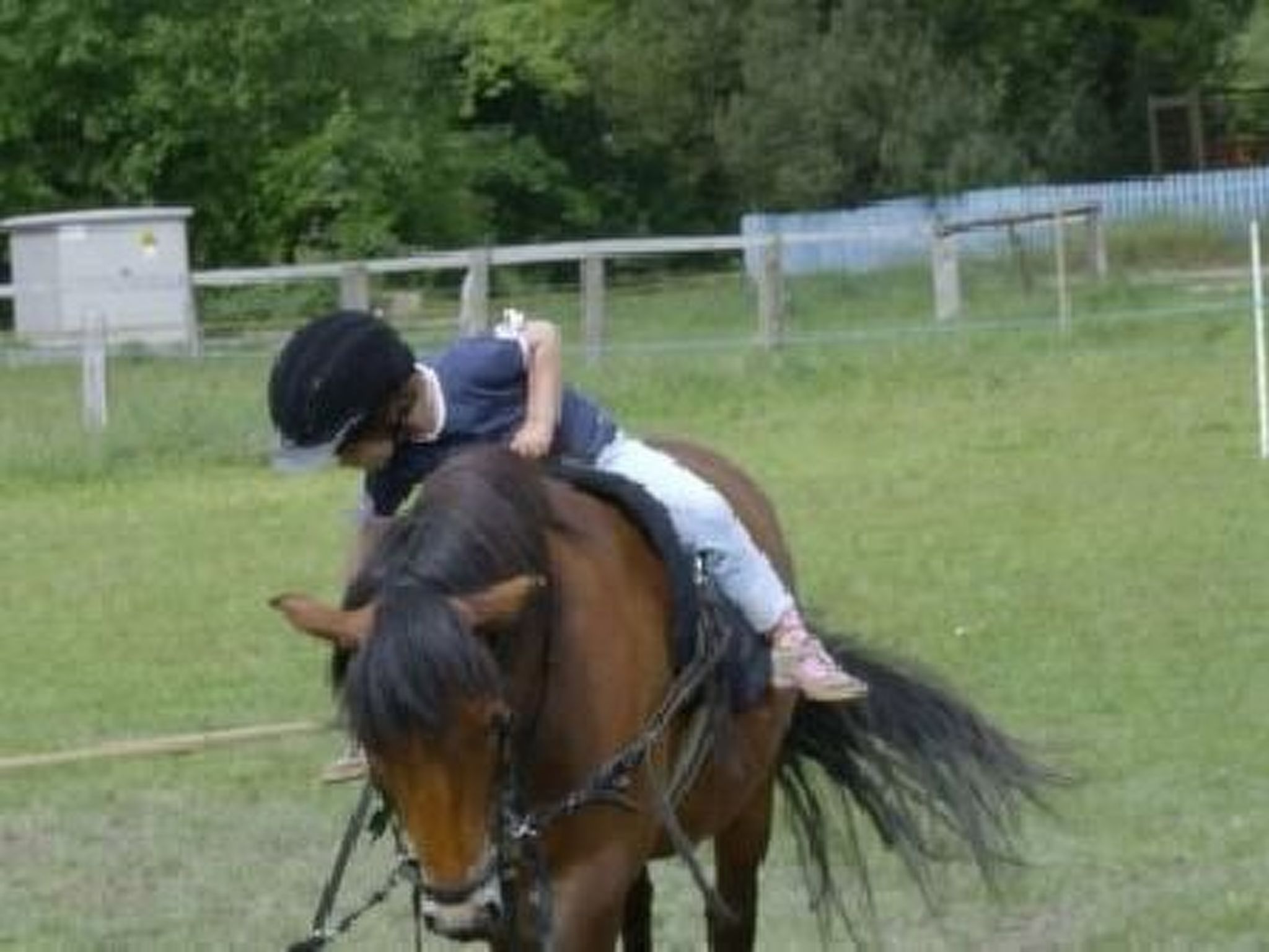 Wohnung in Dreveskirchen mit Kleinem Garten-Image-tags.info