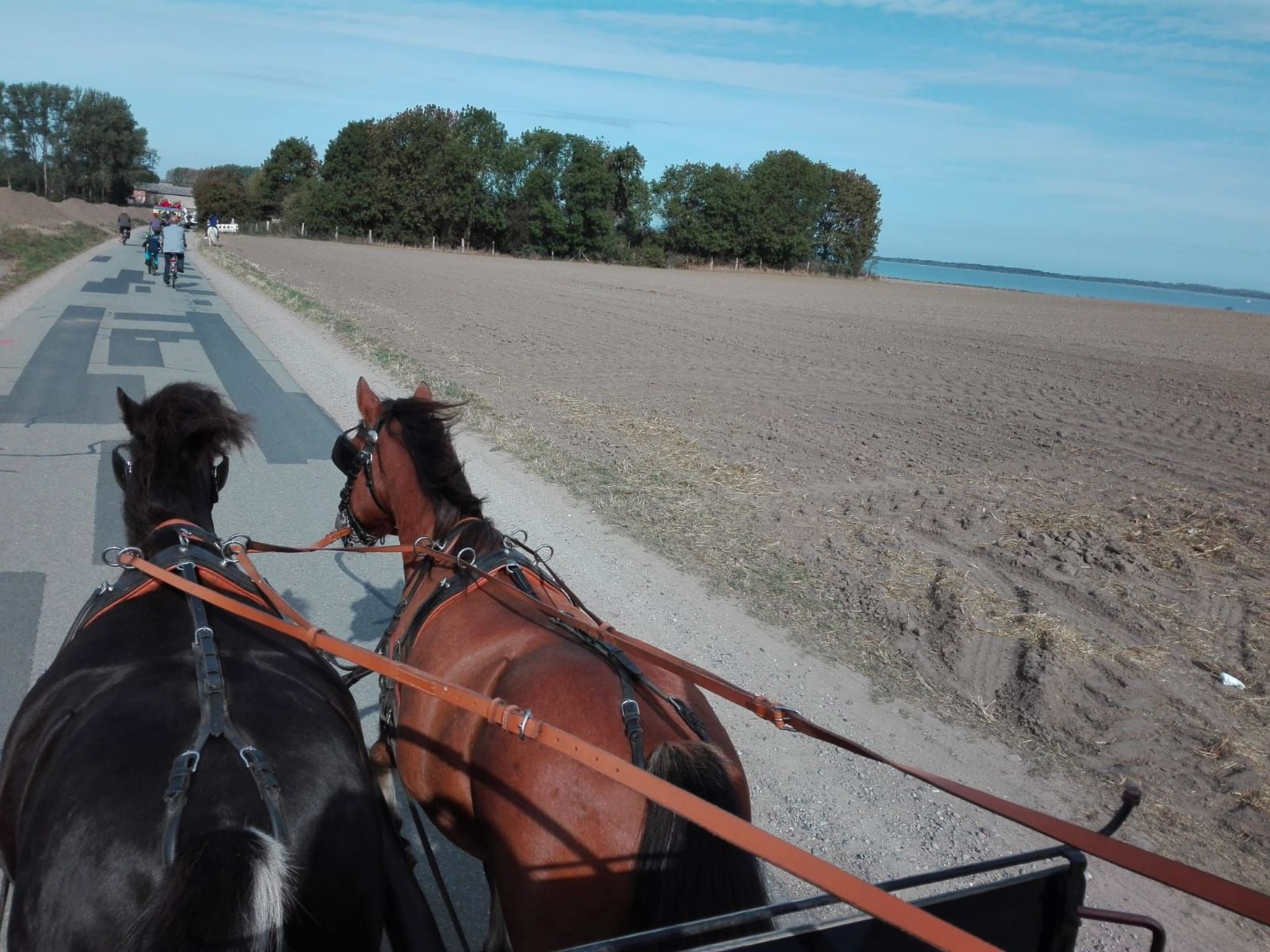 Wohnung in Dreveskirchen mit Kleinem Garten-Image-tags.info