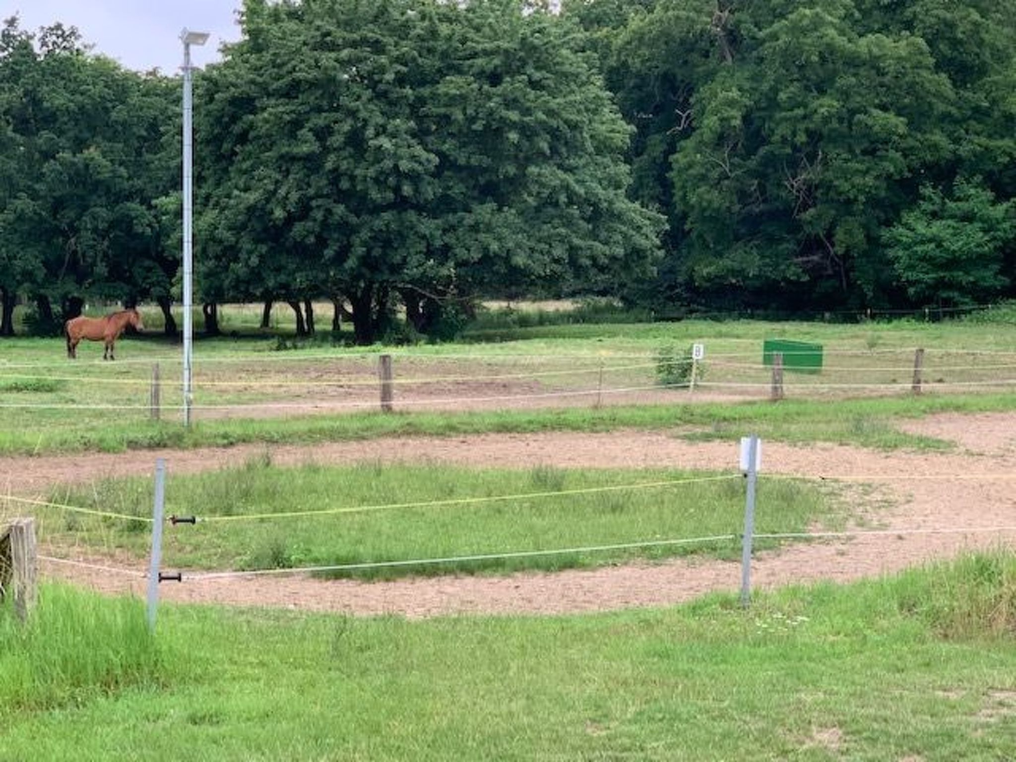 Wohnung in Dreveskirchen mit Kleinem Garten-Image-tags.info