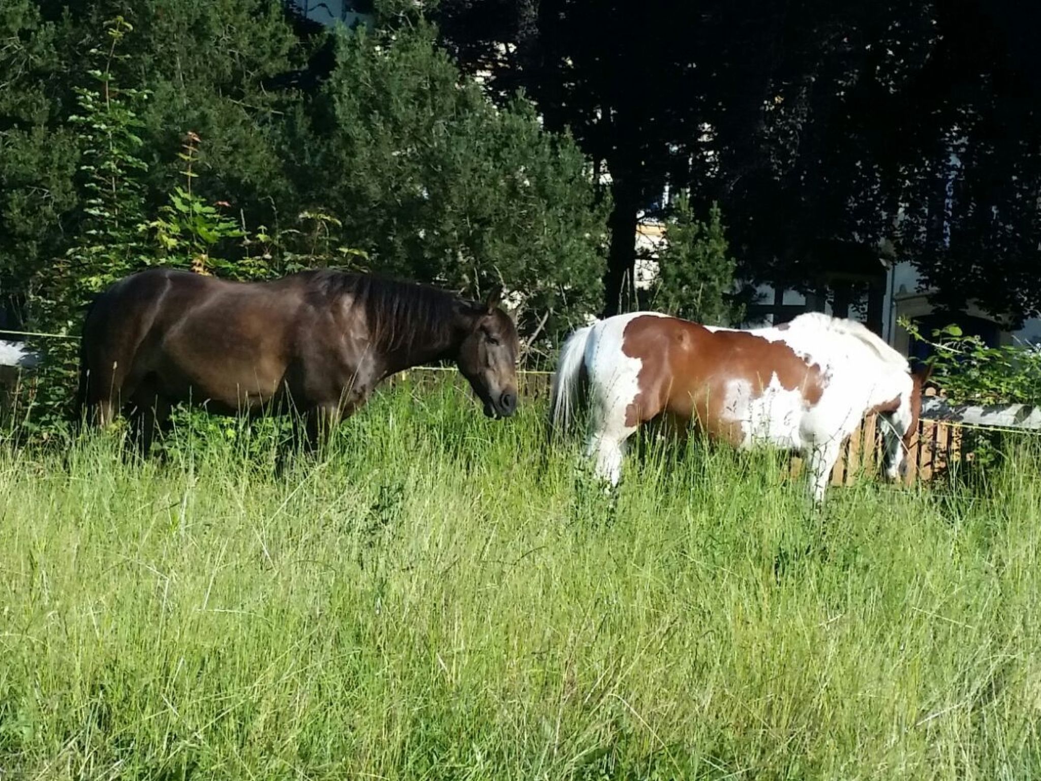 Wohnung in Dreveskirchen mit Kleinem Garten-Image-tags.info