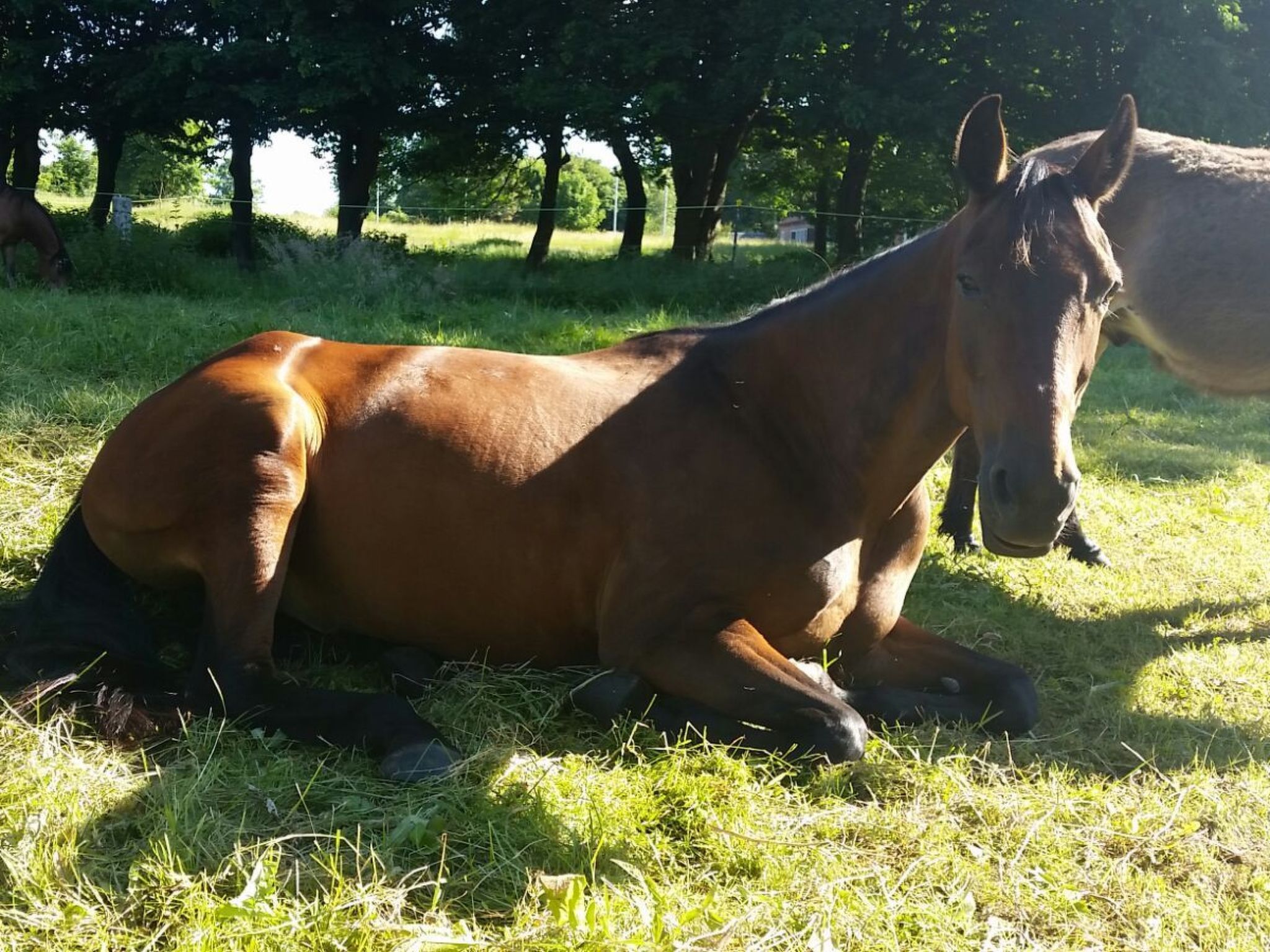 Wohnung in Dreveskirchen mit Kleinem Garten-Image-tags.info