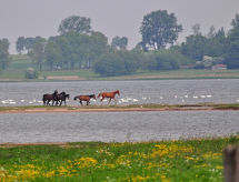 Apartmá Gollwitzer Park (Insel Poel)
