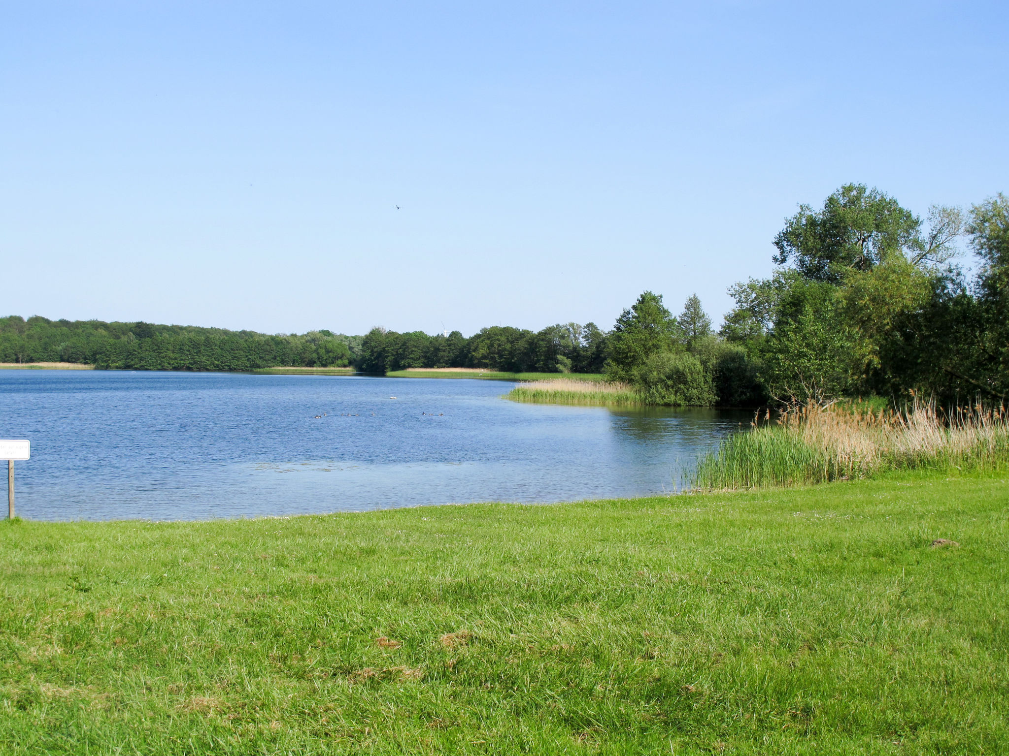 Joschi-Omgeving