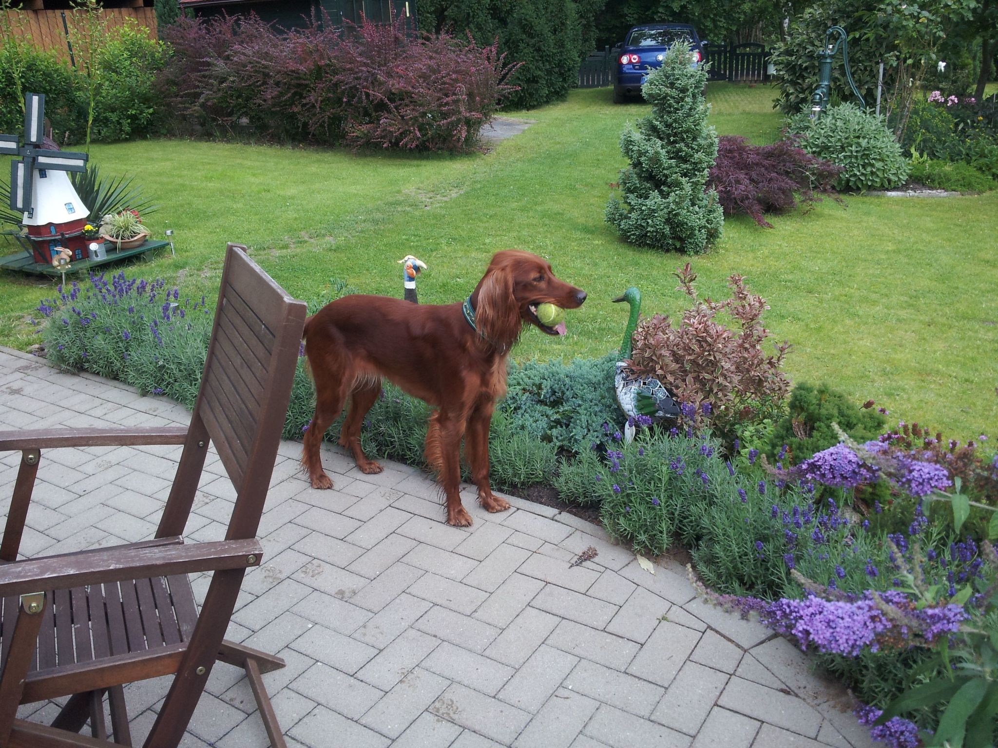 Haus am Seeufer in Plau am See-Binnen