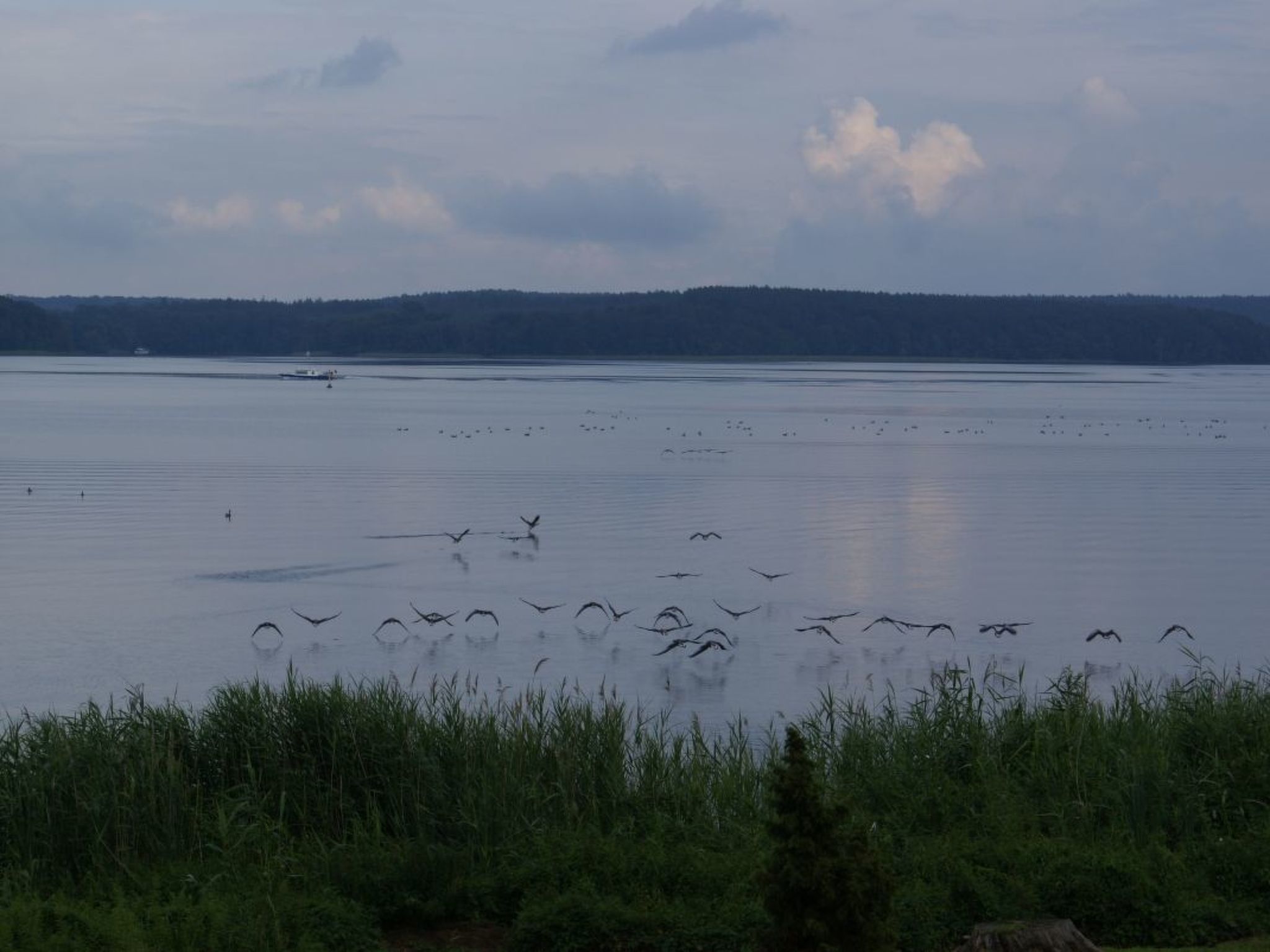 Vakantiehuis met omheinde tuin in Plau am See (Duitsland) 1 hond is welkom