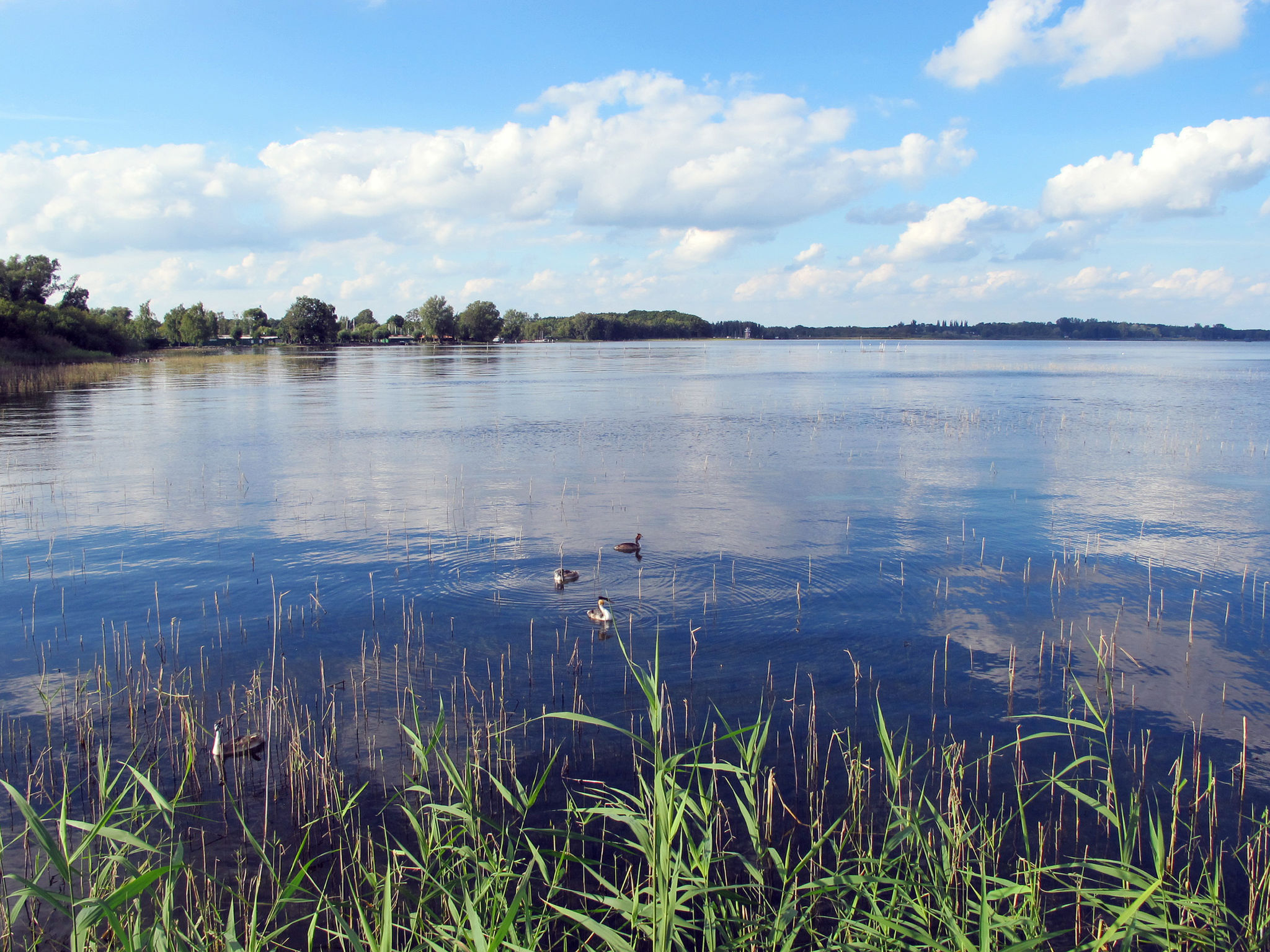 Lenzer Höh-Omgeving